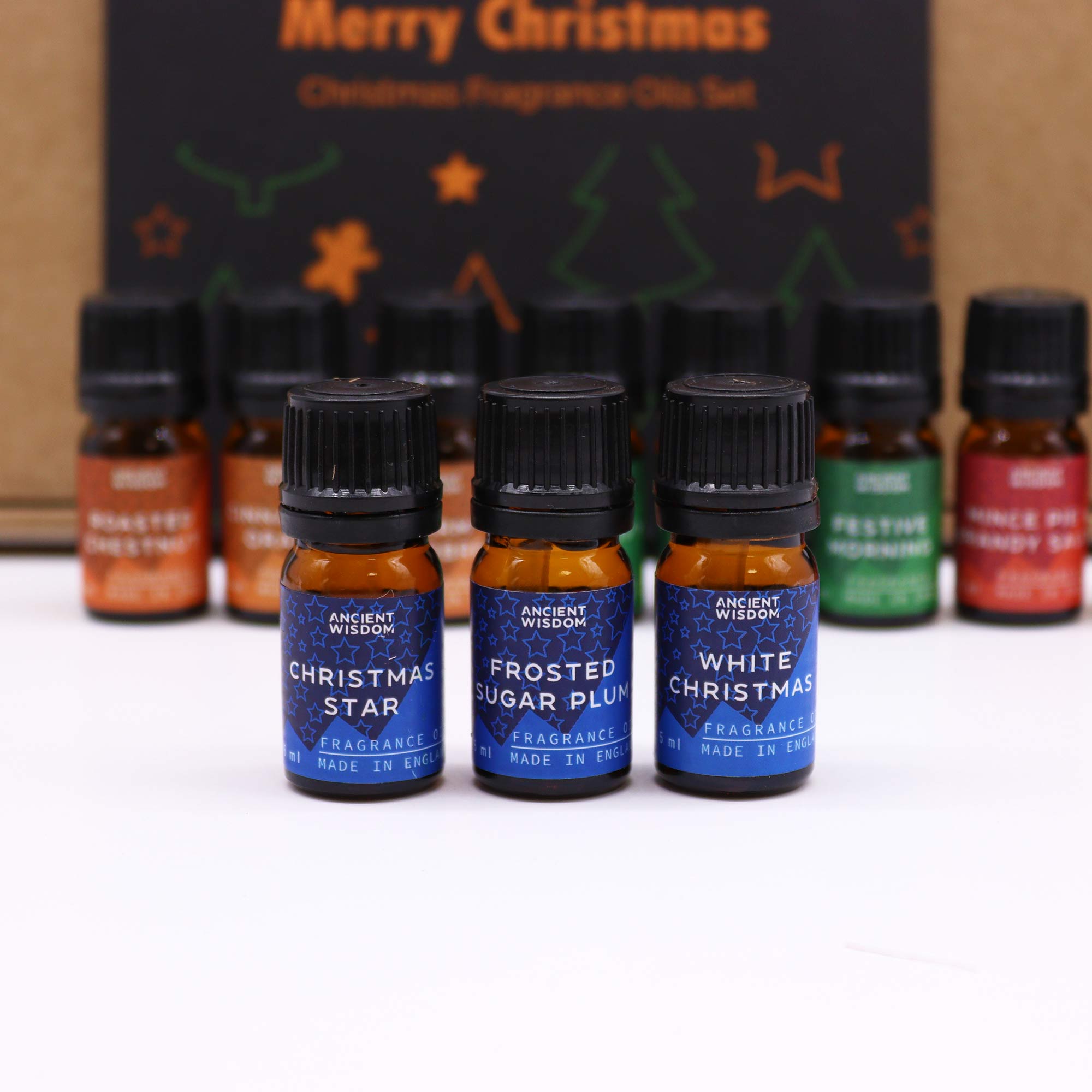 Festive Delights Fragrance Oils Set3