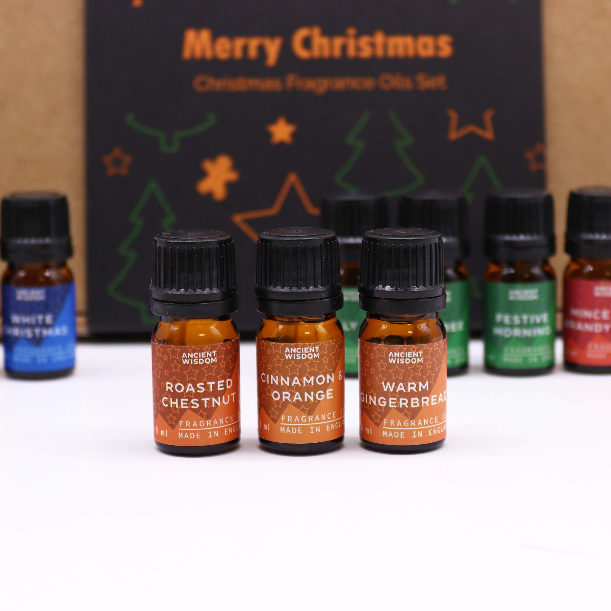 Festive Delights Fragrance Oils Set4