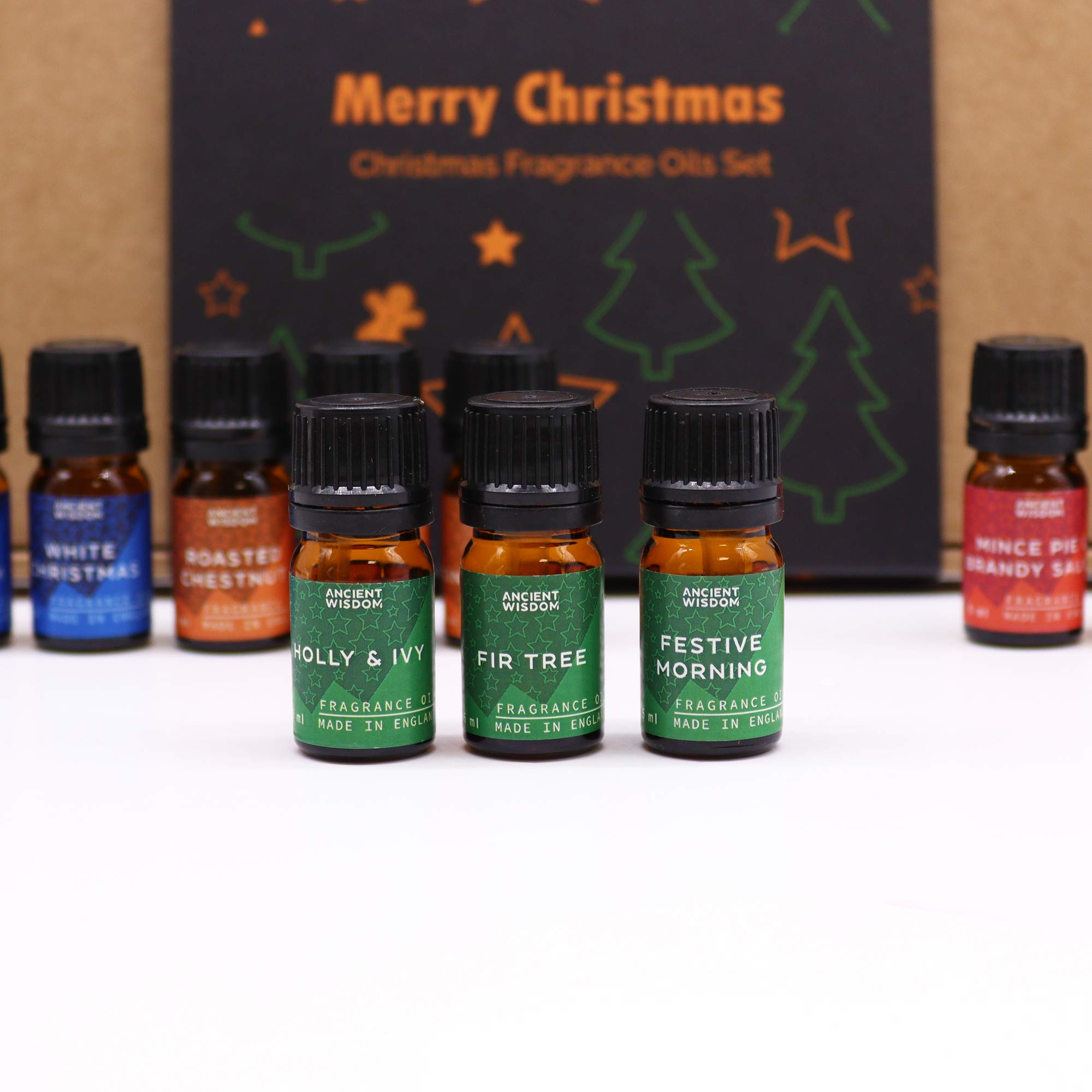 Festive Delights Fragrance Oils Set5