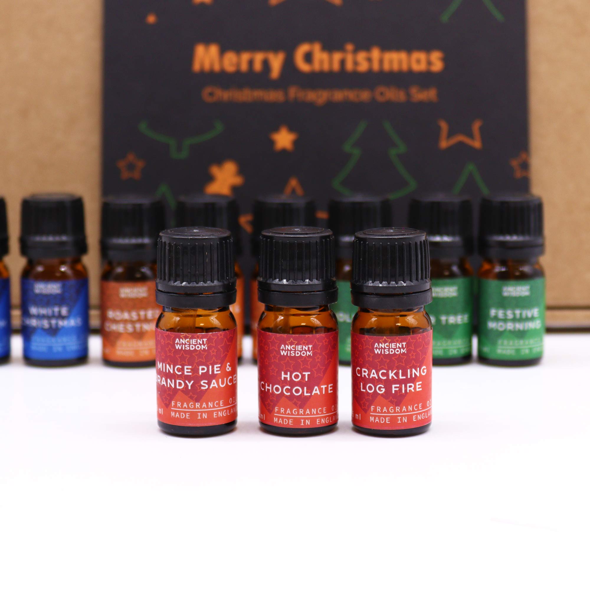 Festive Delights Fragrance Oils Set6