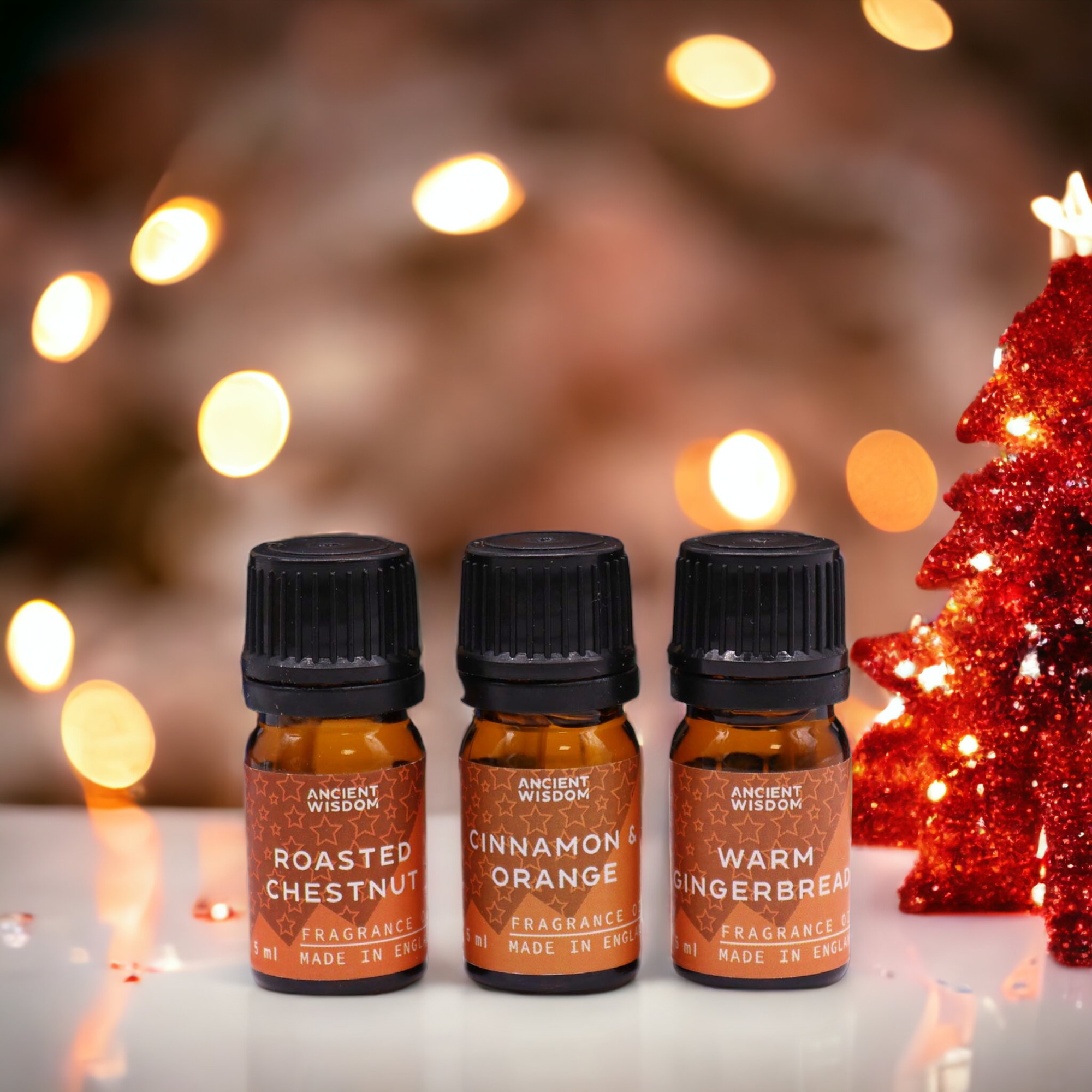 Festive Delights Fragrance Oils Set7