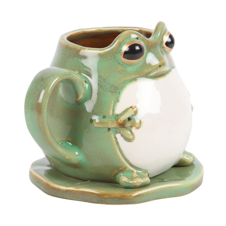 Frog Shaped Ceramic Mug & Lily Pad Saucer Gift Set1