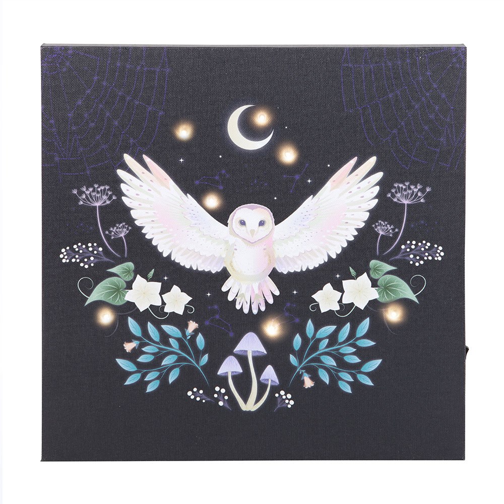 Night Owl Light Up LED Canvas Wall Plaque - 30cm1