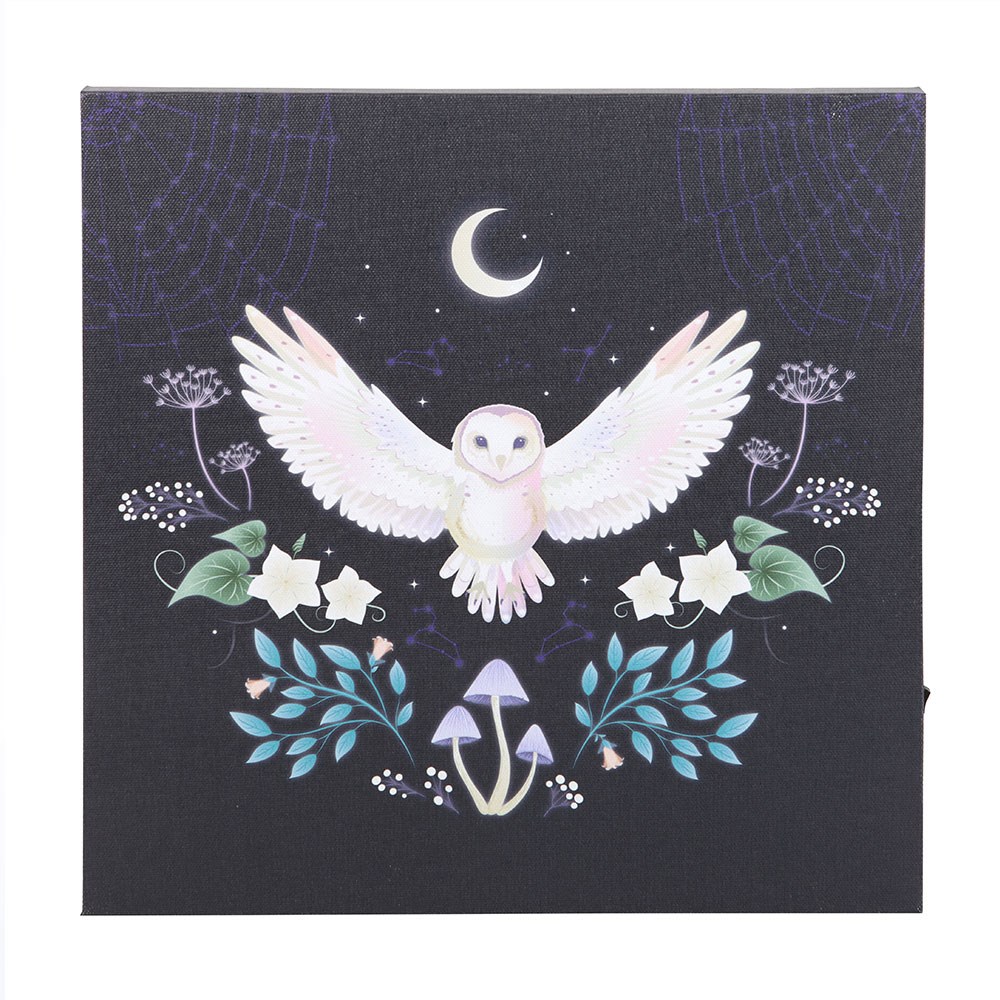 Night Owl Light Up LED Canvas Wall Plaque - 30cm2