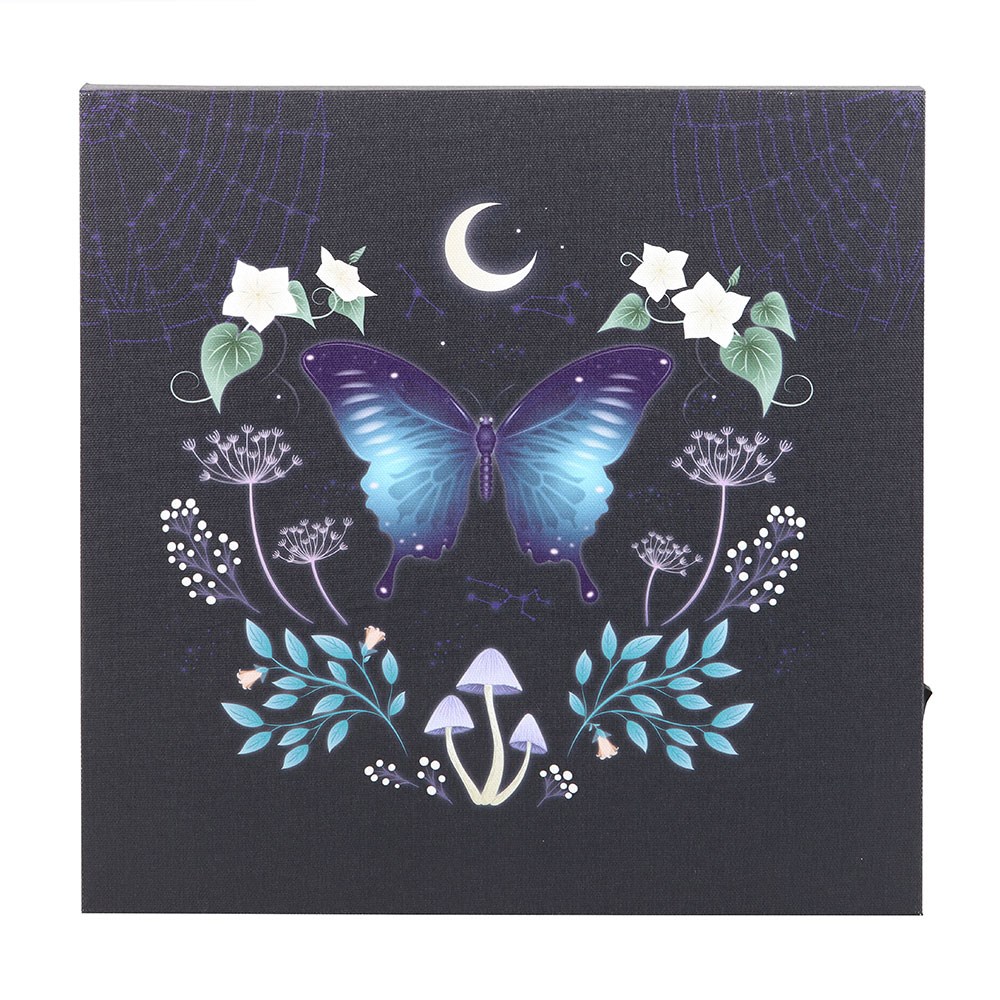 Midnight Moth Light Up LED Canvas Wall Plaque - 30cm1