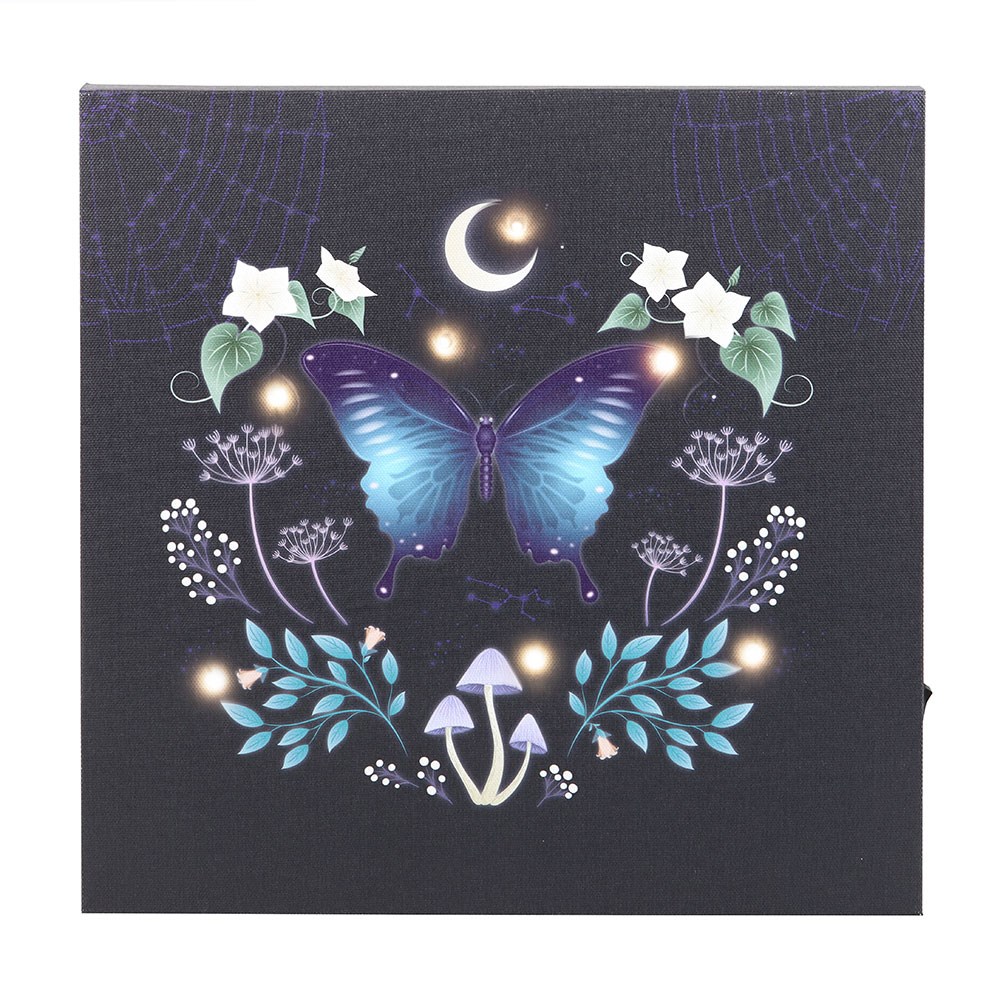 Midnight Moth Light Up LED Canvas Wall Plaque - 30cm2