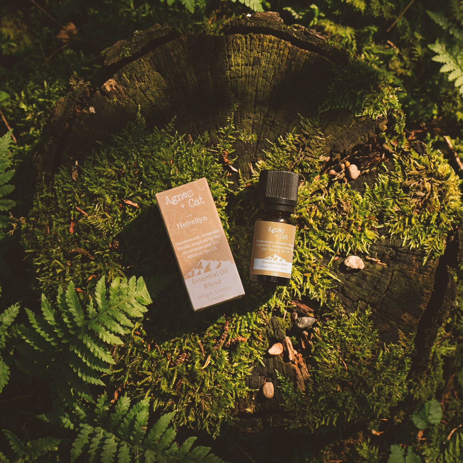 Agnes + Cat Catbells Essential Oil Blend - Lime, Tangerine & Peppermint3