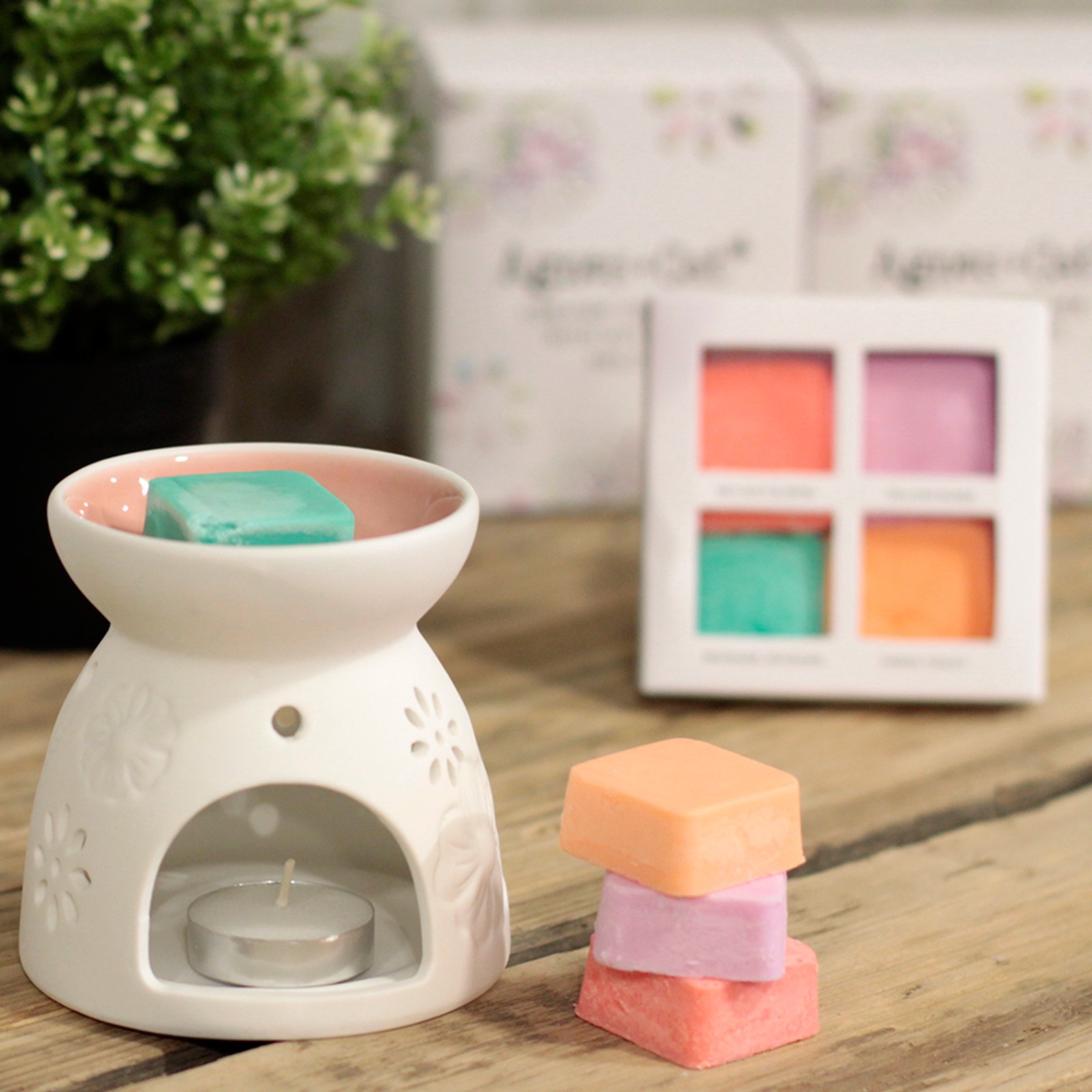 Agnes + Cat Ceramic Wax Melt Burner with 4 Soy Wax Melts2