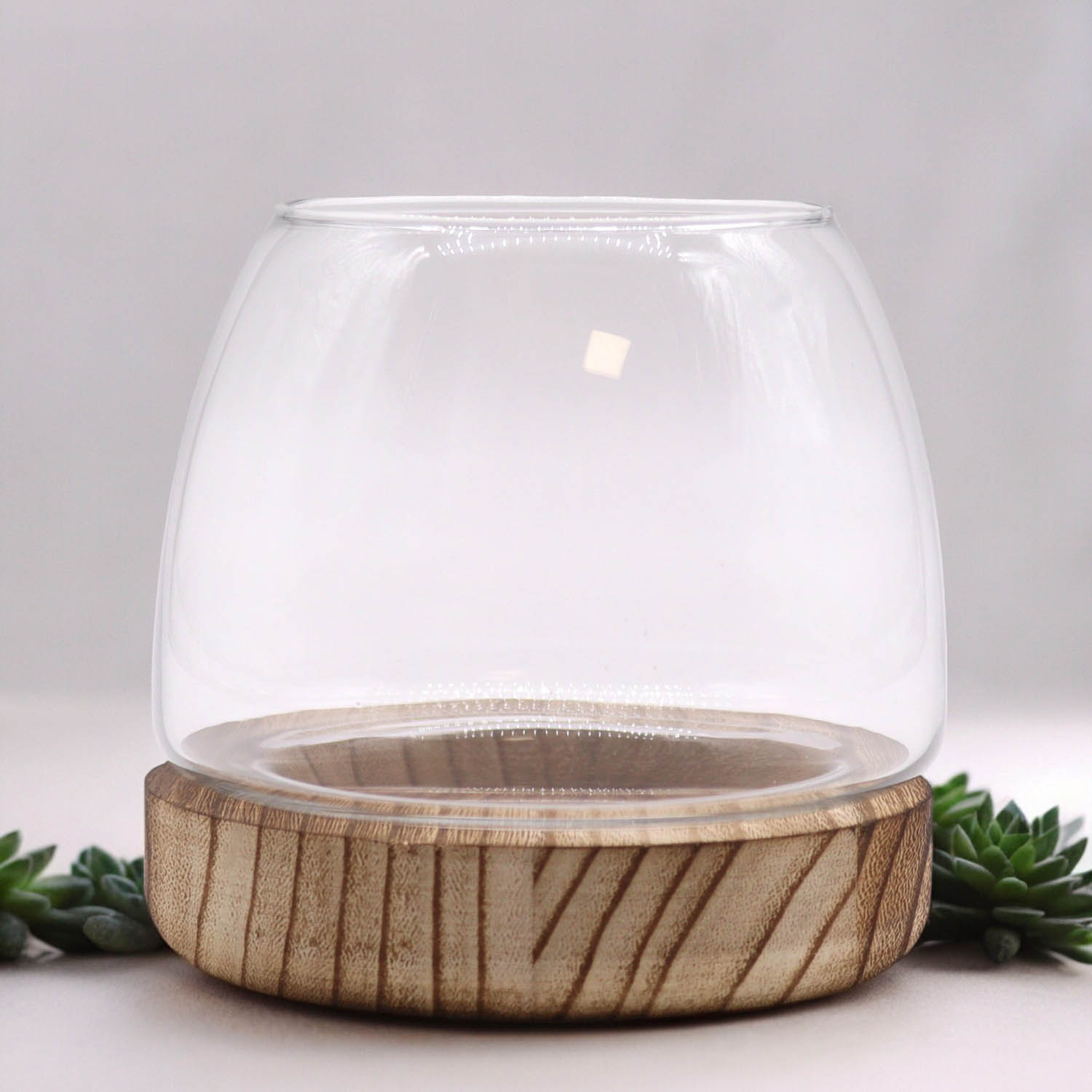 Small Glass Terrarium on Natural Tung Wood Base - 13cm