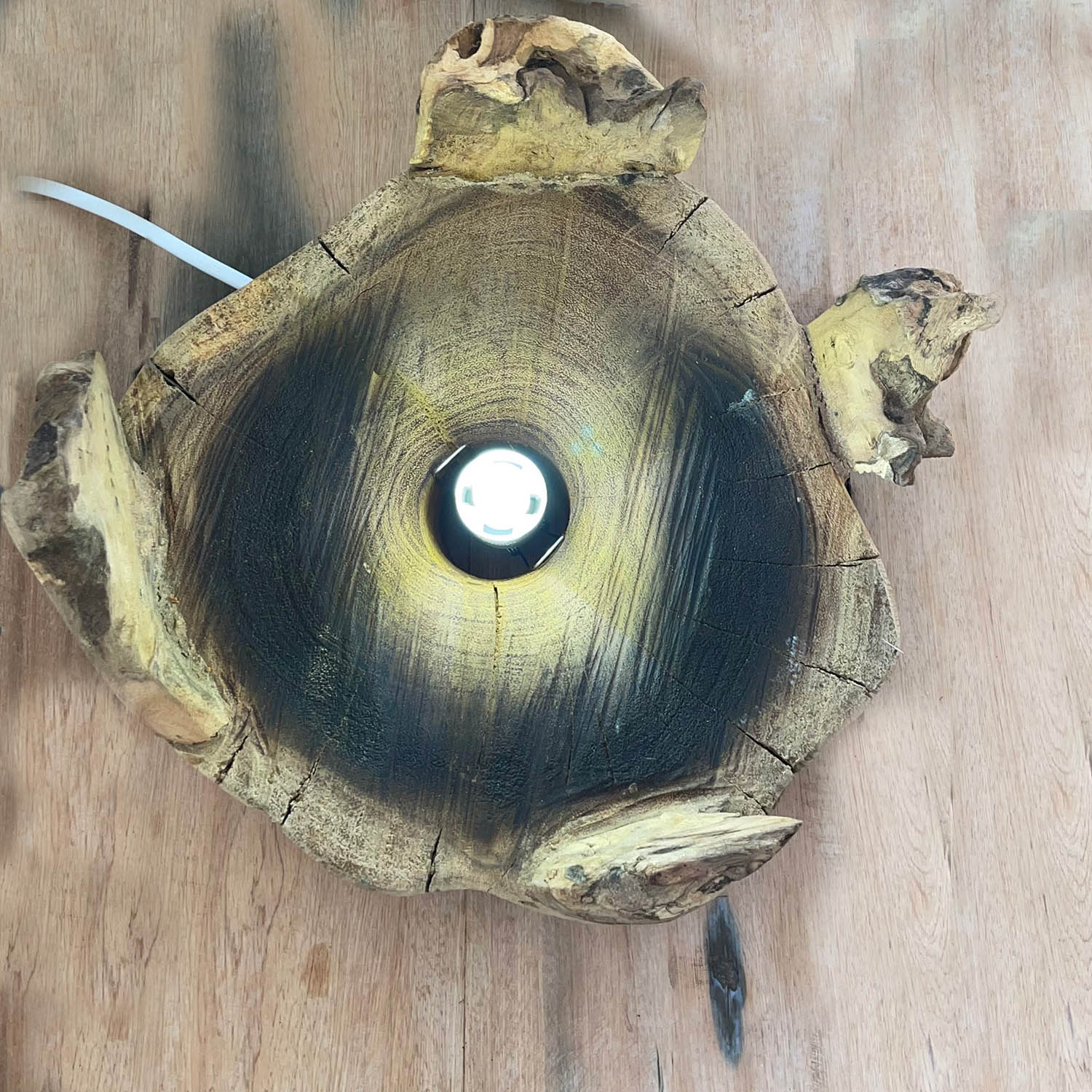 Molten Glass on Gamal Wood with Light – Large Fish Tank & Terrarium (3.7L)4