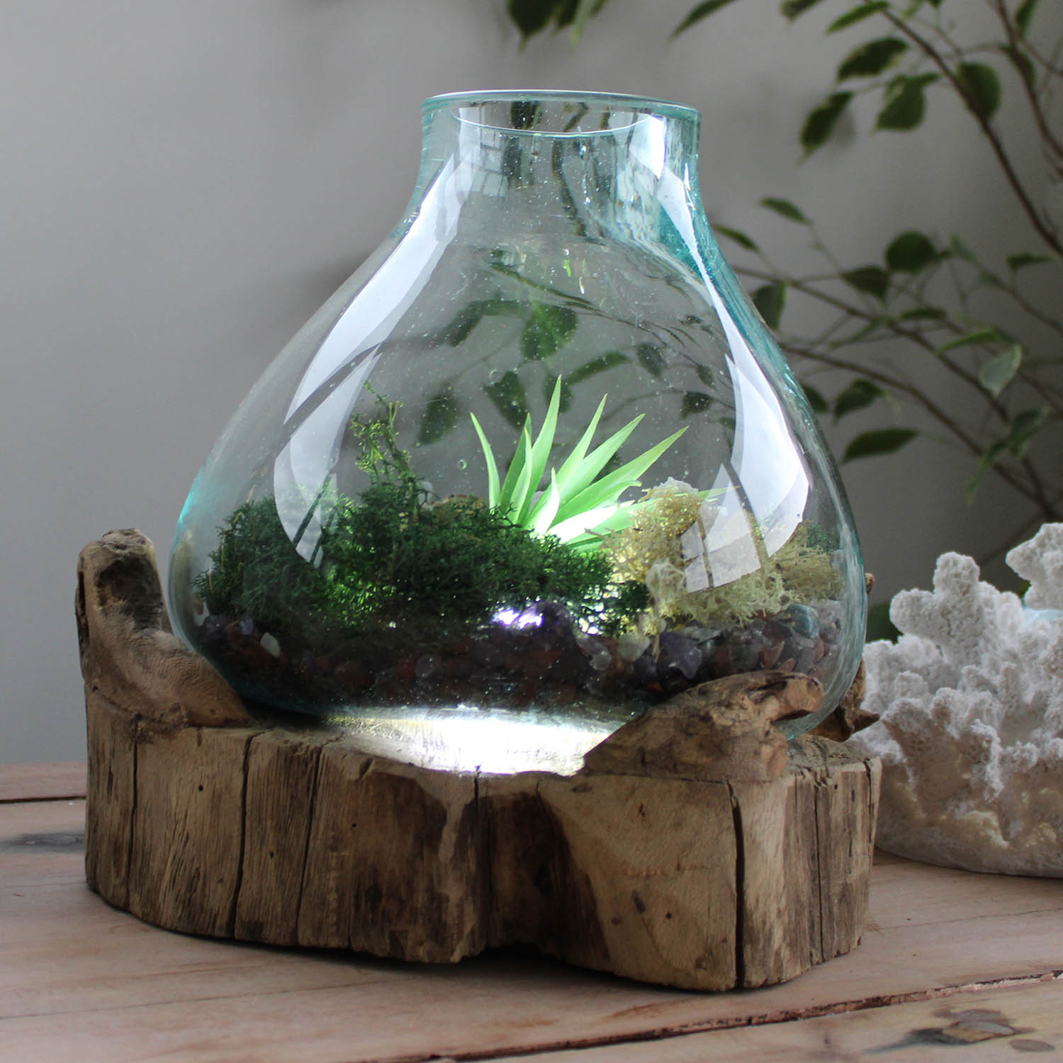 Molten Glass on Gamal Wood with Light – Large Fish Tank & Terrarium (3.7L)7