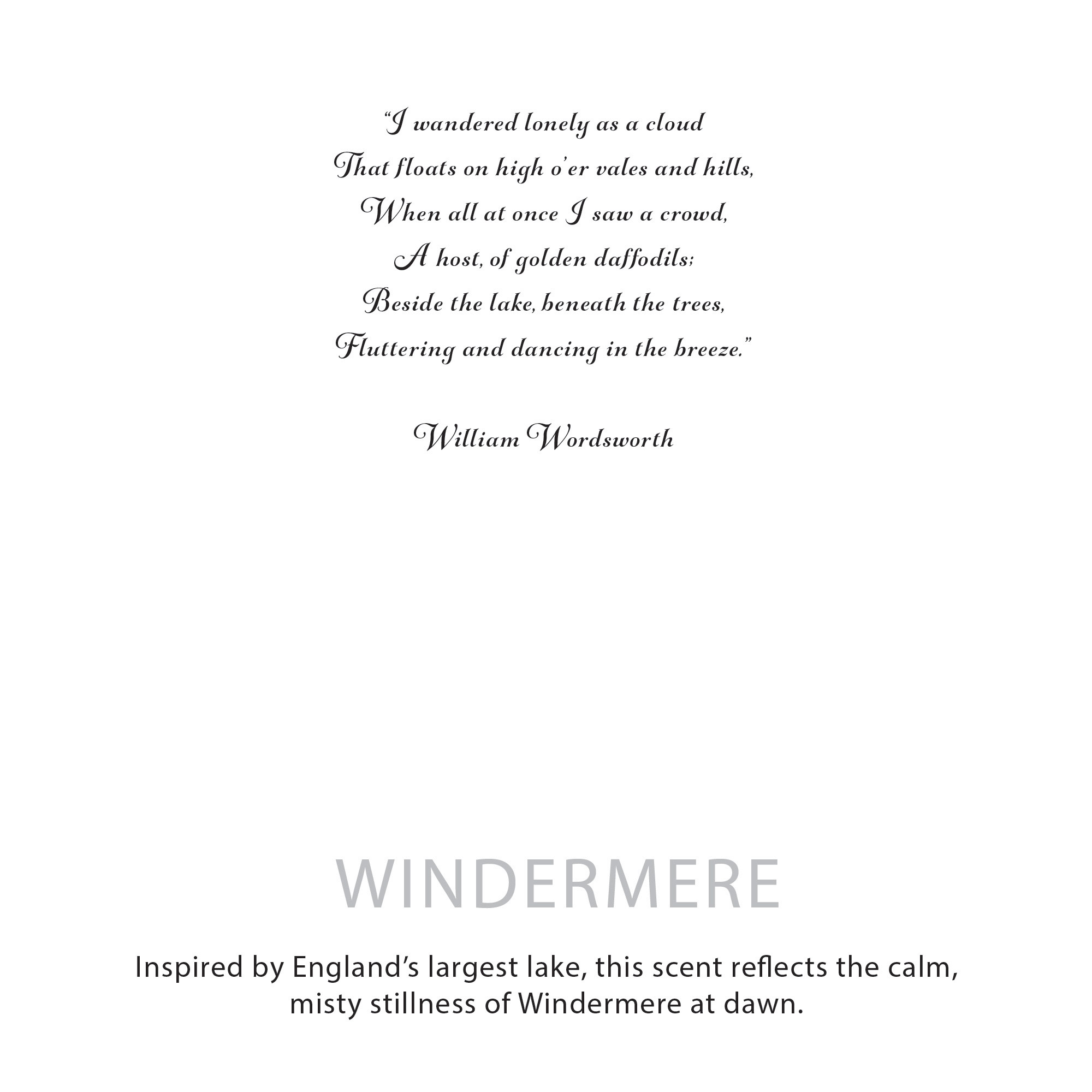 Agnes + Cat Windermere Botanical Soy Wax Candle (350g)4