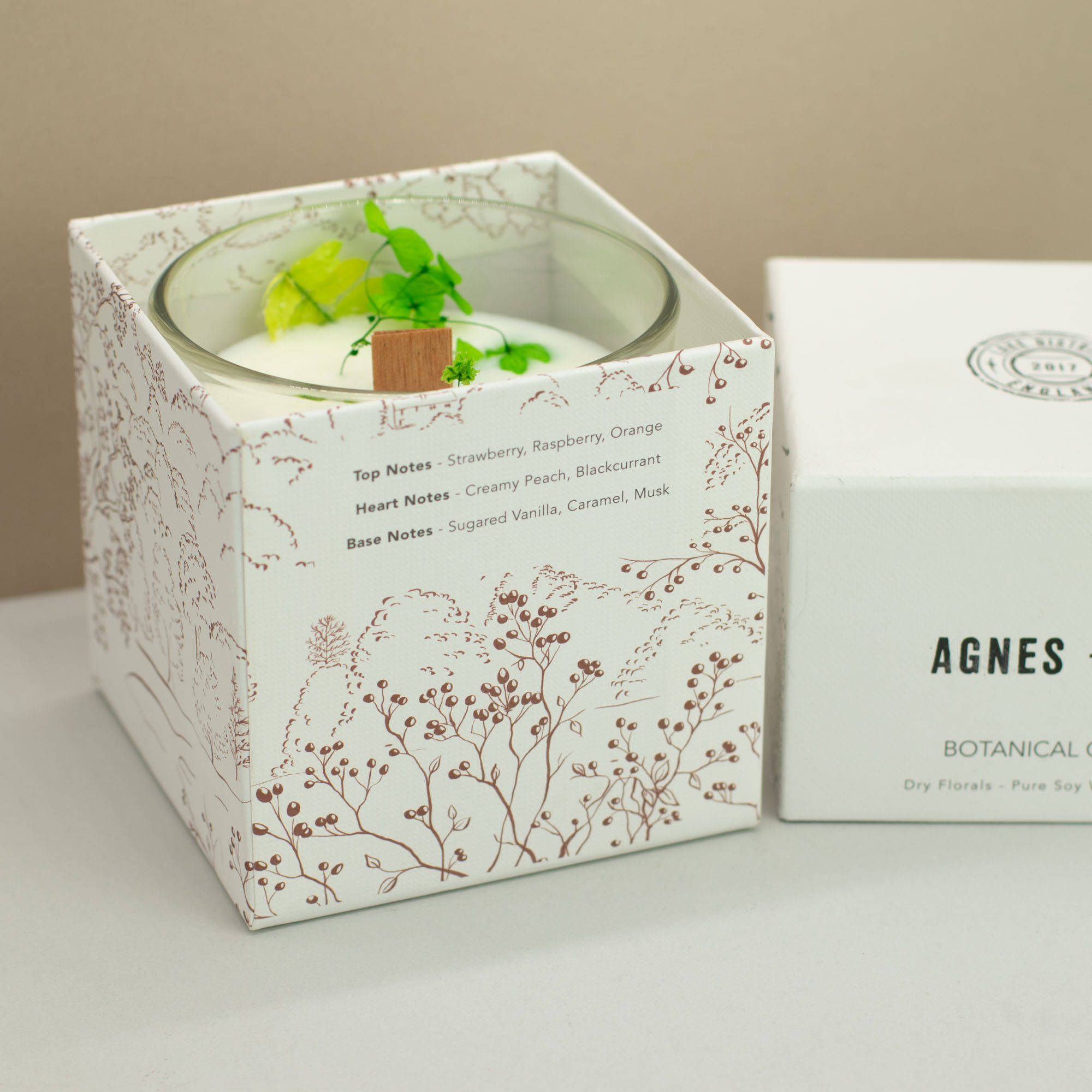 Agnes + Cat Fellberry Botanical Soy Wax Candle (350g)3