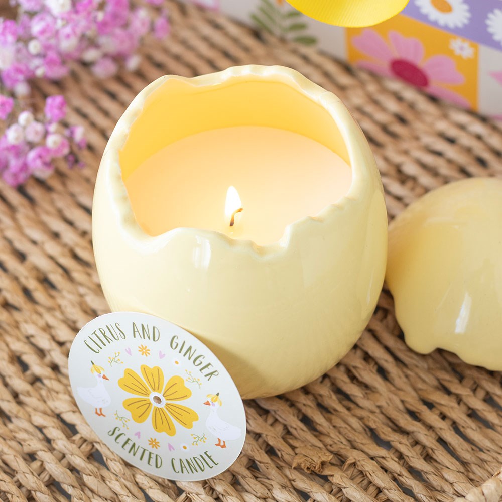 Citrus & Ginger Scented Ceramic Egg Candle