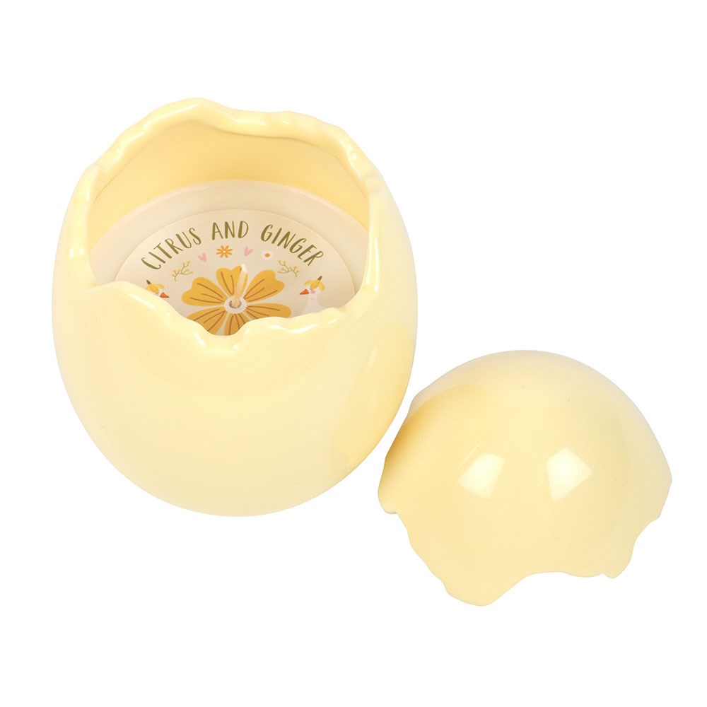 Citrus & Ginger Scented Ceramic Egg Candle1