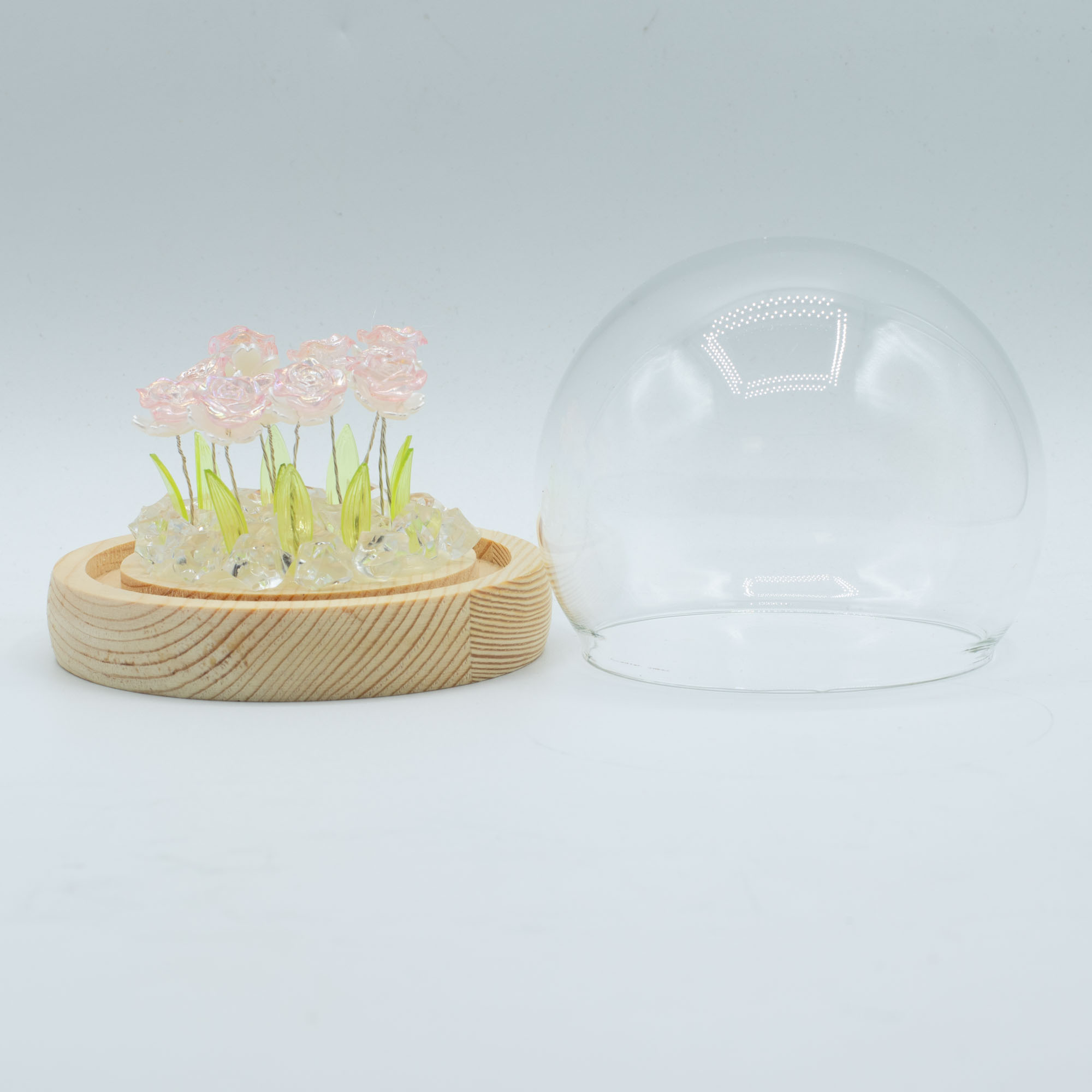 Floral Glow Garden Dome - 10 Pink LED Roses - USB Powered Glass Night Light1