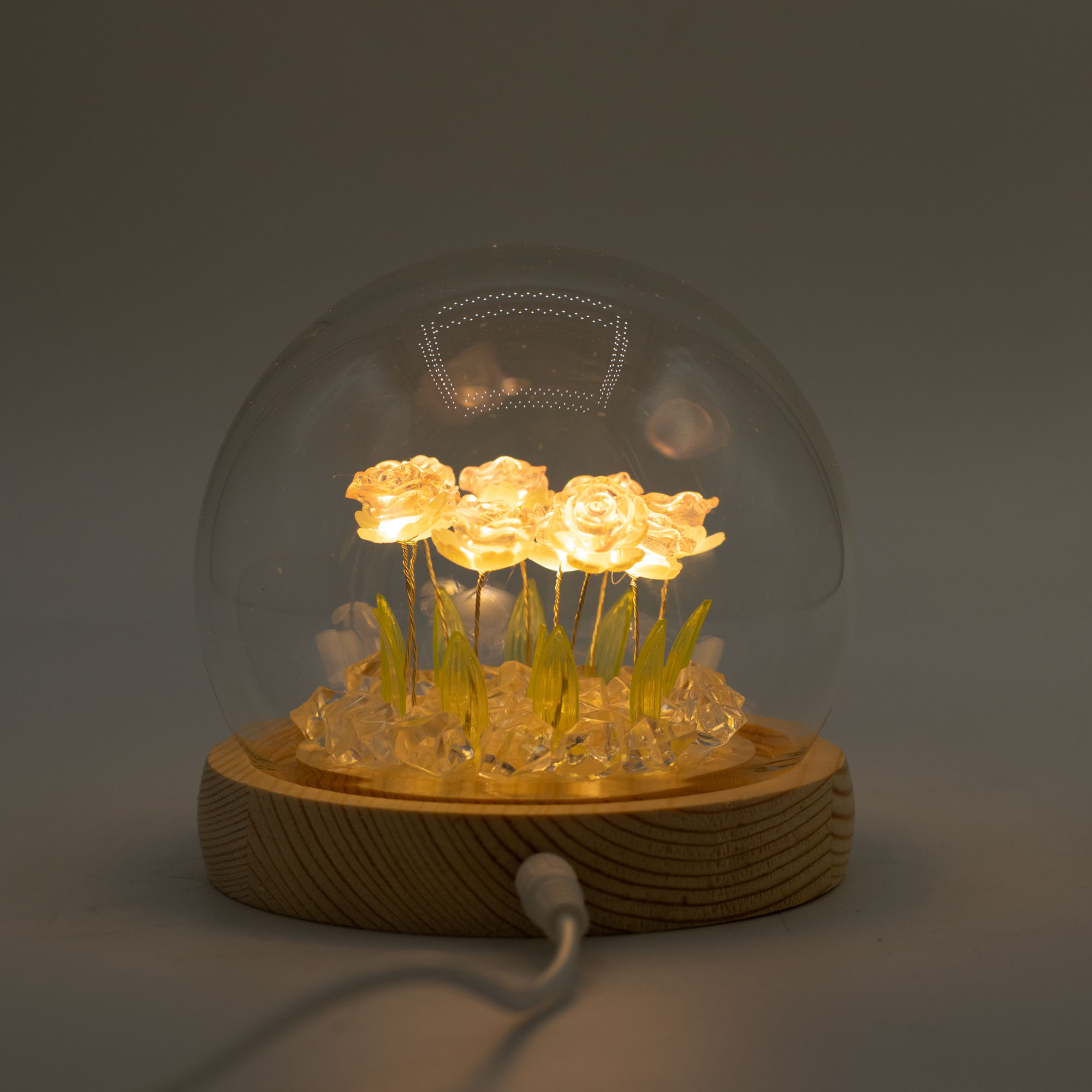 Floral Glow Garden Dome - 10 Pink LED Roses - USB Powered Glass Night Light4