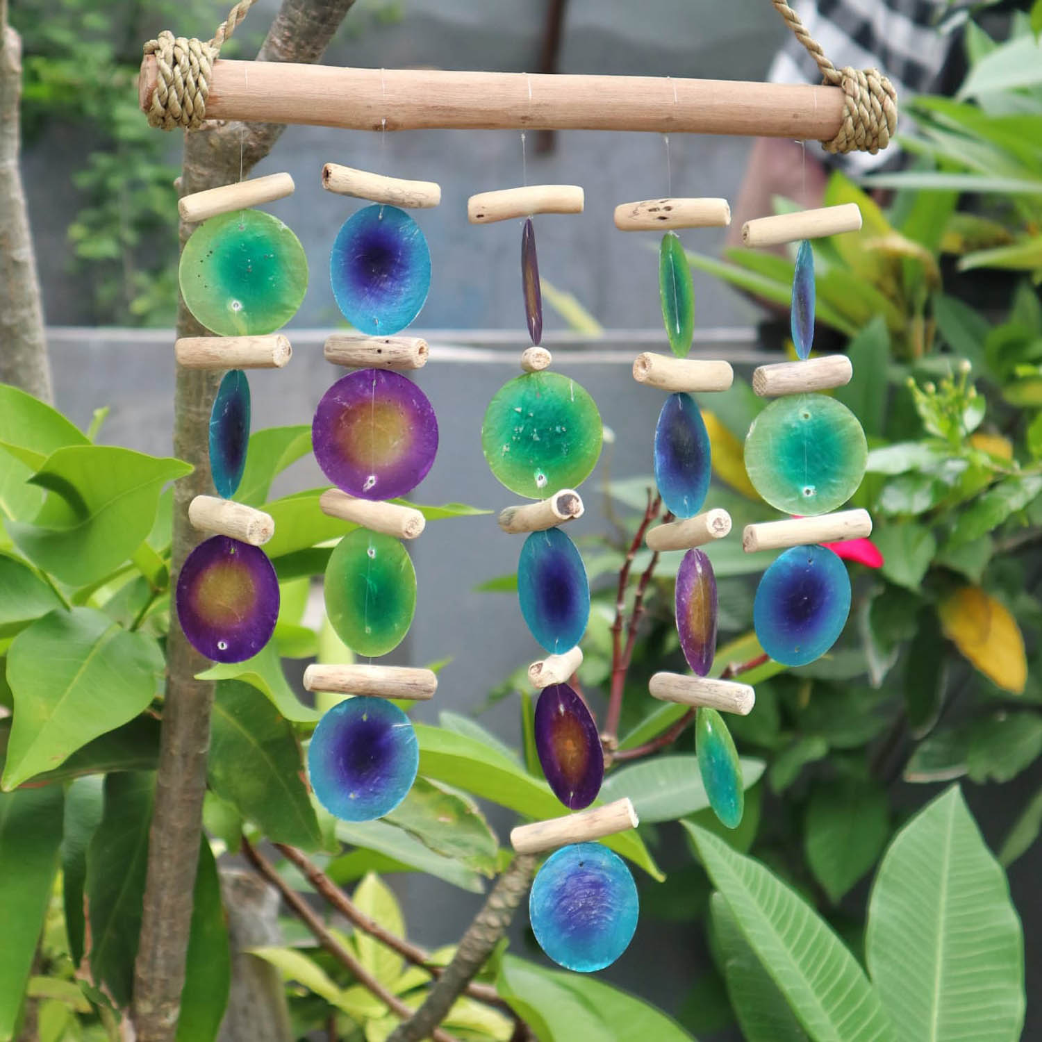 Green & Purple Driftwood Capiz Chime3