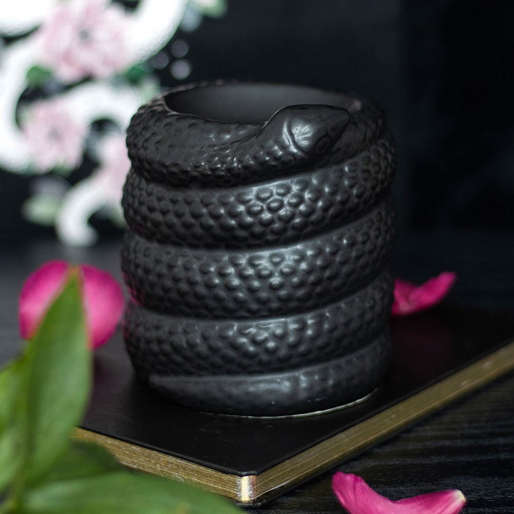 Serpentine Black Coiled Snake Oil Burner & Wax Warmer4