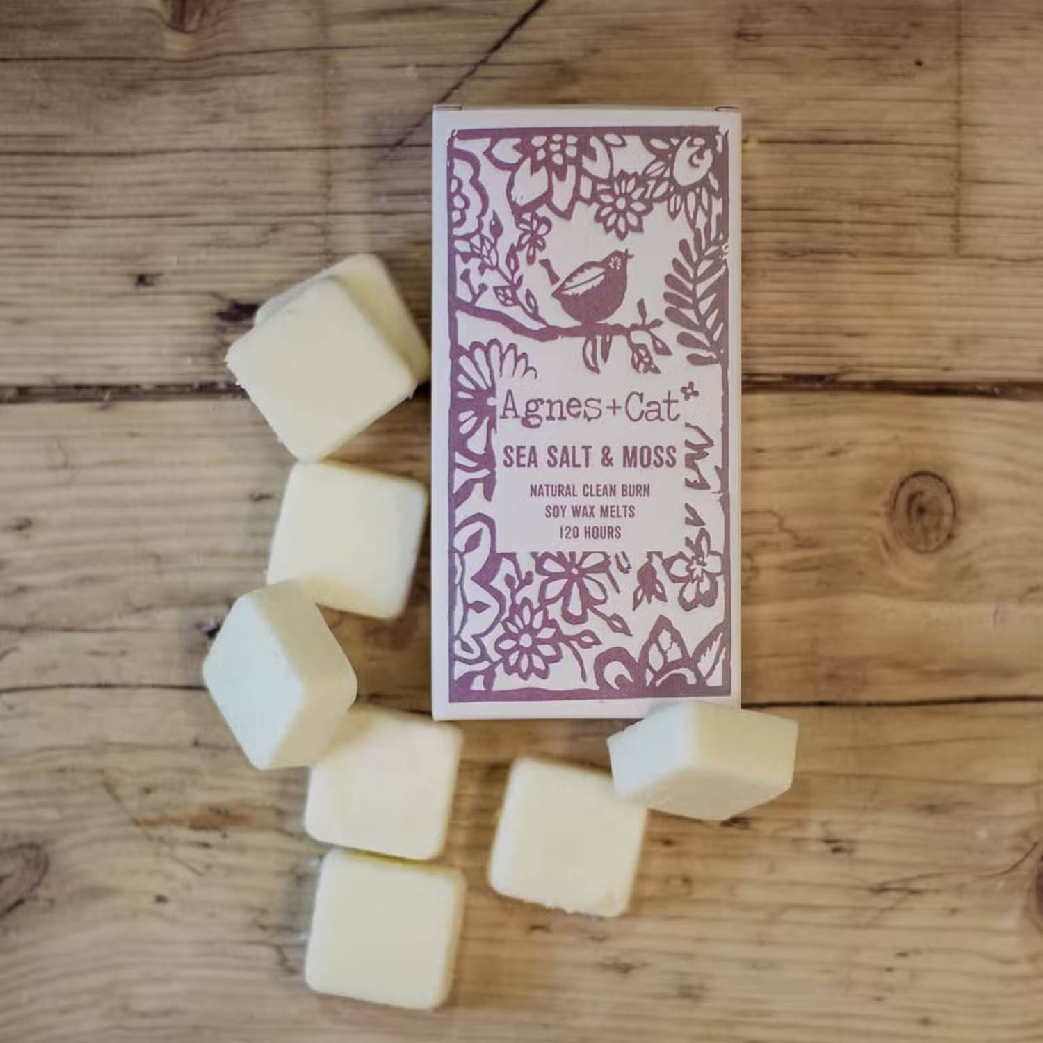 Agnes & Cat Sea Salt + Moss Soy Wax Melts - Box of 82