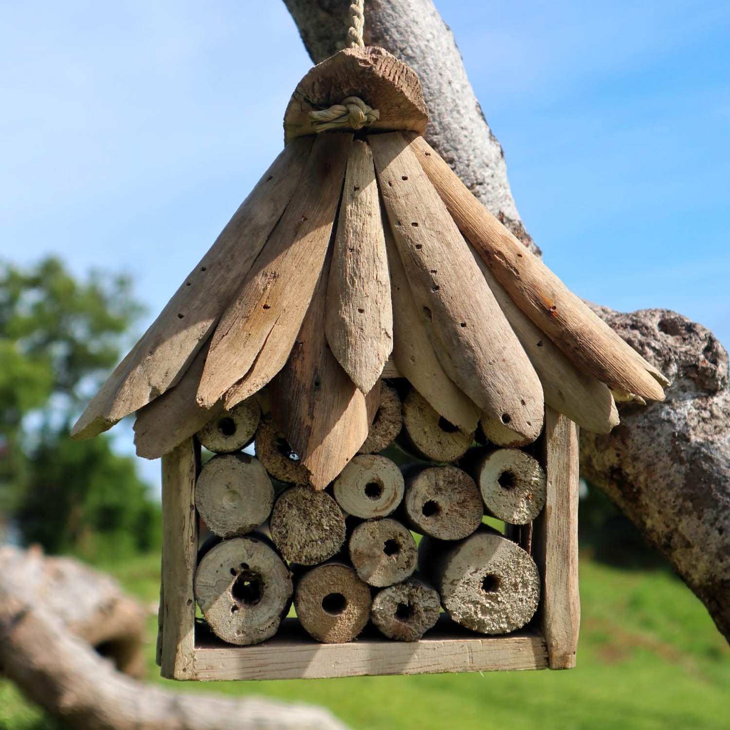 Eco-Friendly Driftwood Bee & Insect House2