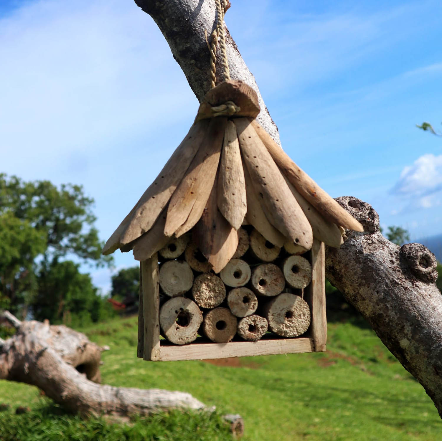 Eco-Friendly Driftwood Bee & Insect House3