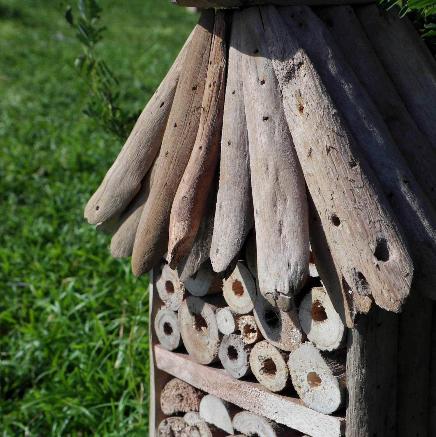 Eco-Friendly Driftwood Bee & Insect Highrise House3