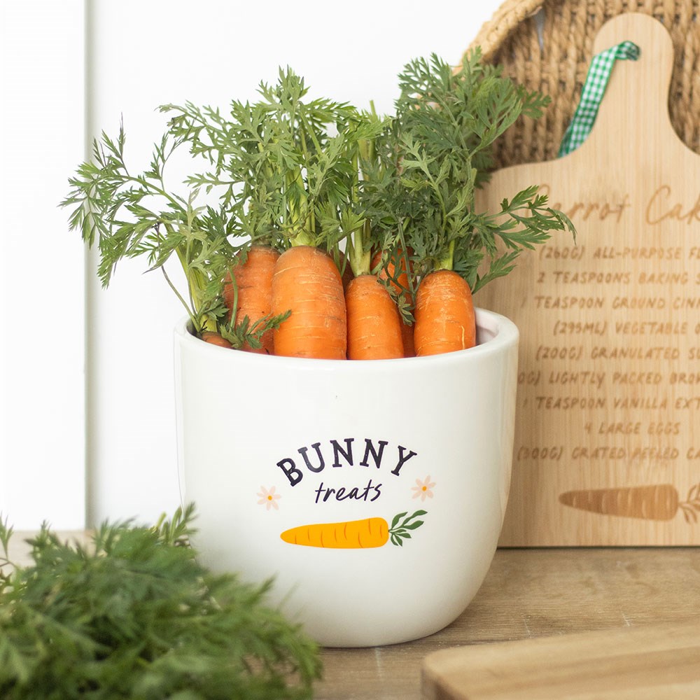 Bunny Treats Multi-Purpose Ceramic Kitchen Bowl3
