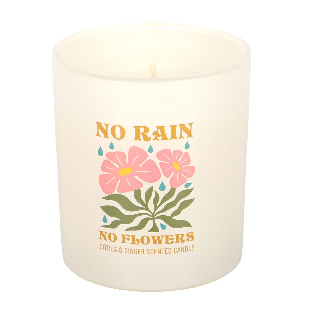 No Rain, No Flowers - Citrus & Ginger Scented Candle1