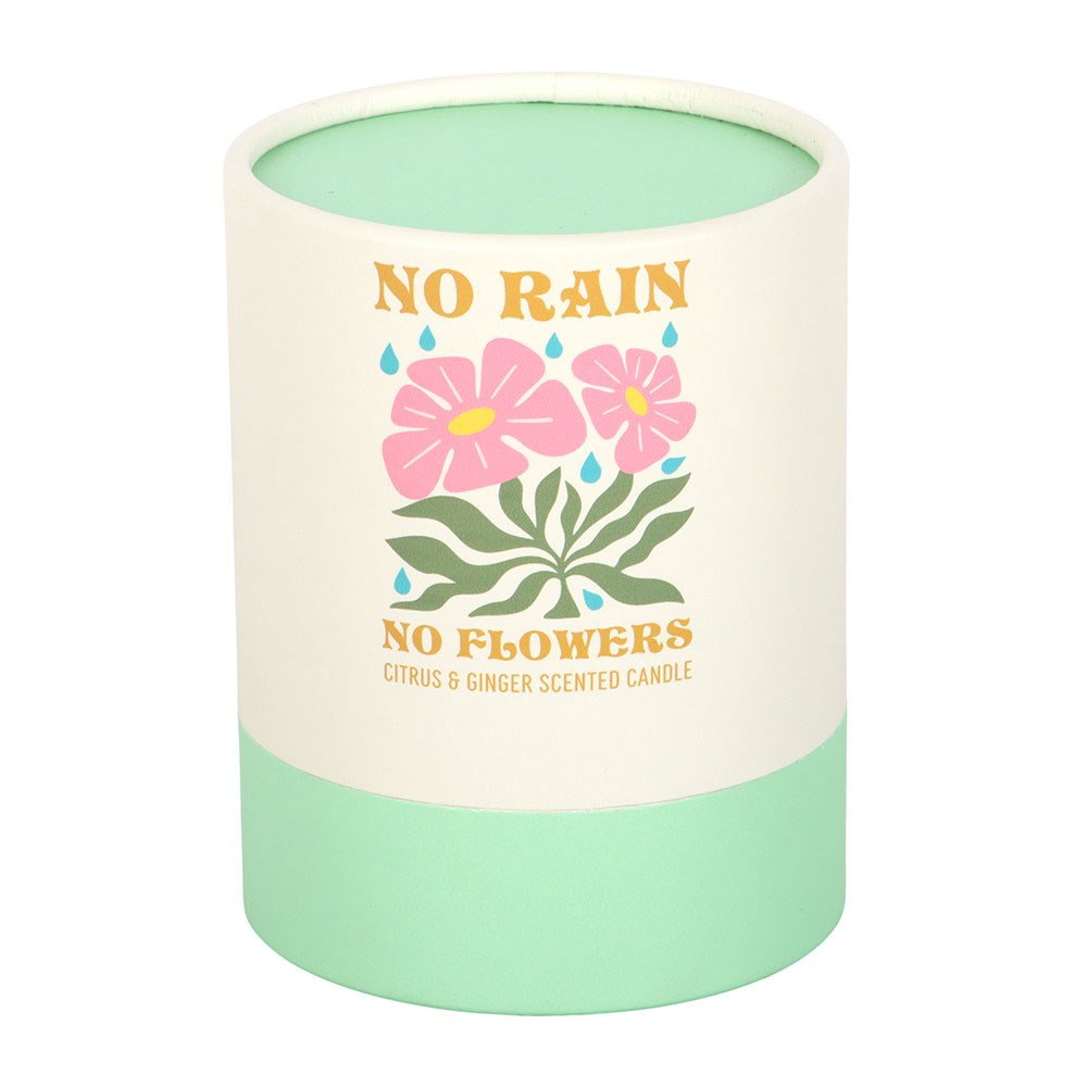 No Rain, No Flowers - Citrus & Ginger Scented Candle2