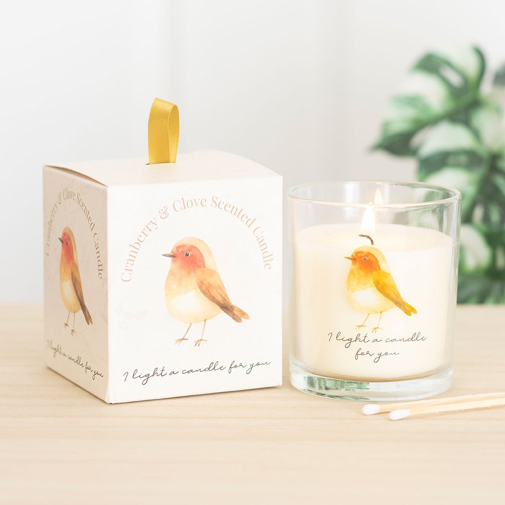 Robin Cranberry & Clove Remembrance Candle3
