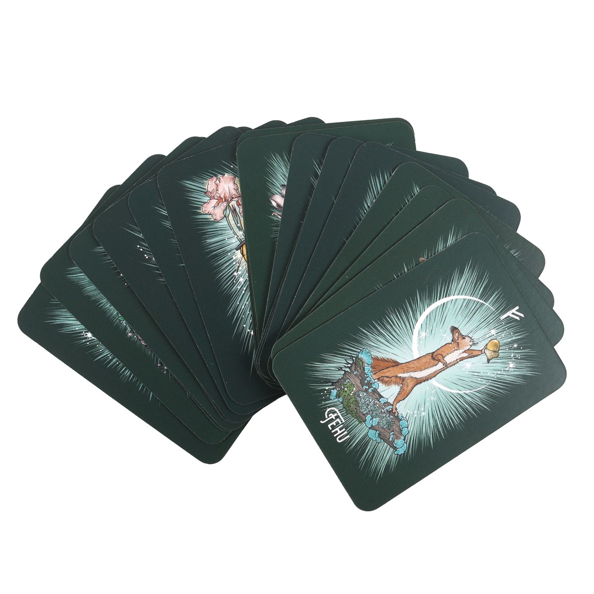 The Witch's Familiar Runic Oracle: 24-Card Deck & Guidebook by Athene Noctua1