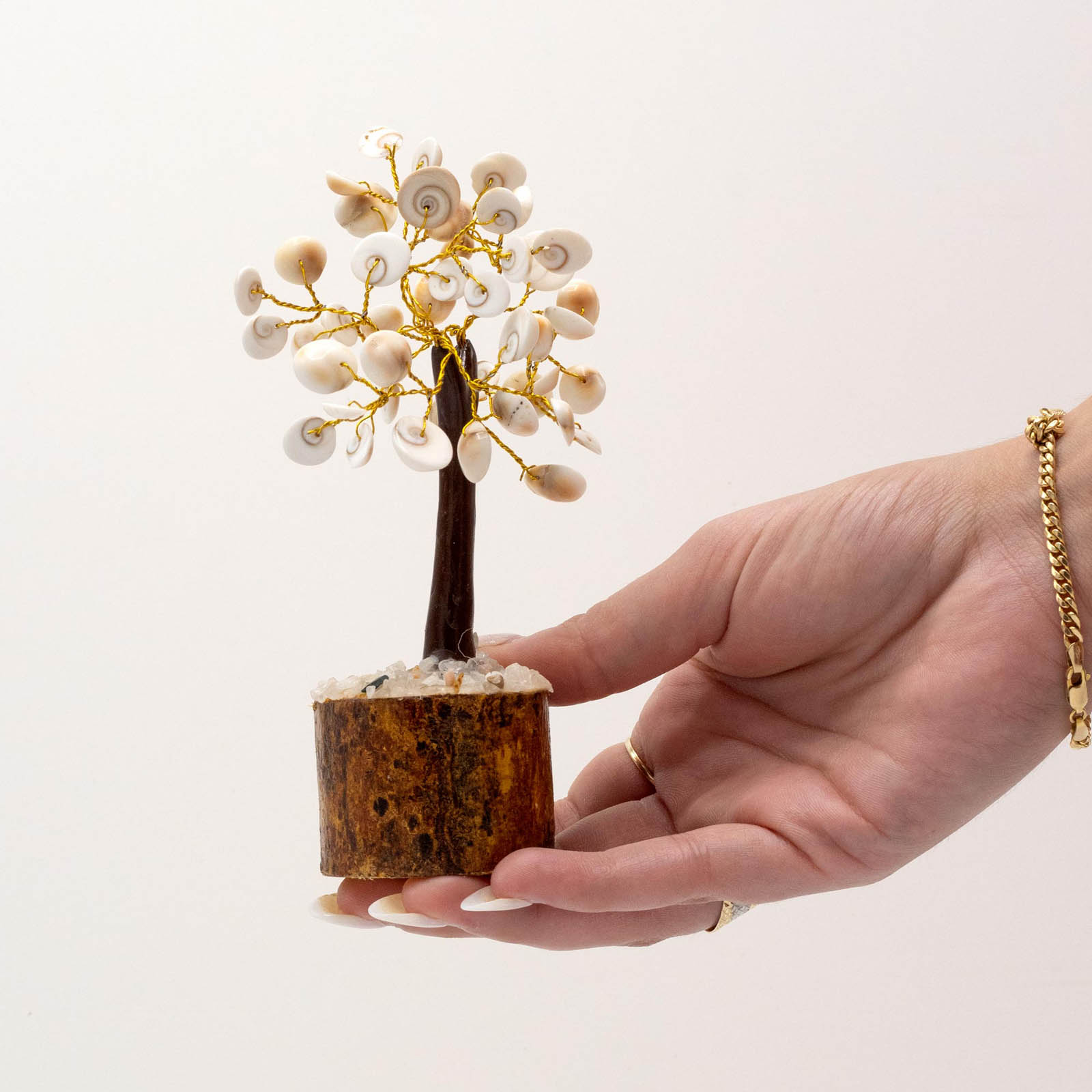 Medium Gomati Chakra Circle Stone Tree (45 Stones)1