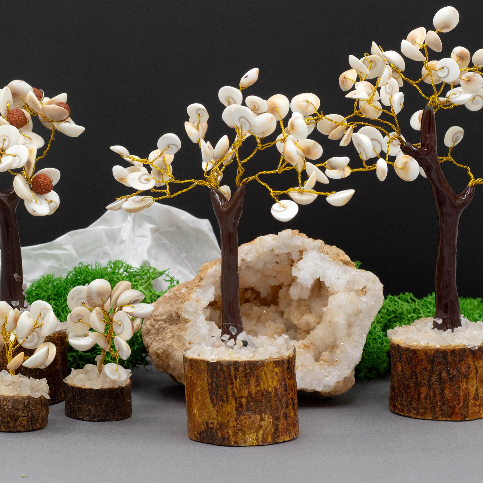 Medium Gomati Chakra Circle Stone Tree (45 Stones)2