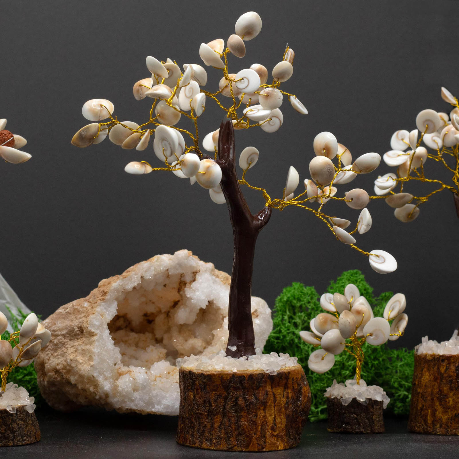 Large Gomati Chakra Circle Stone Tree (60 Stones)3