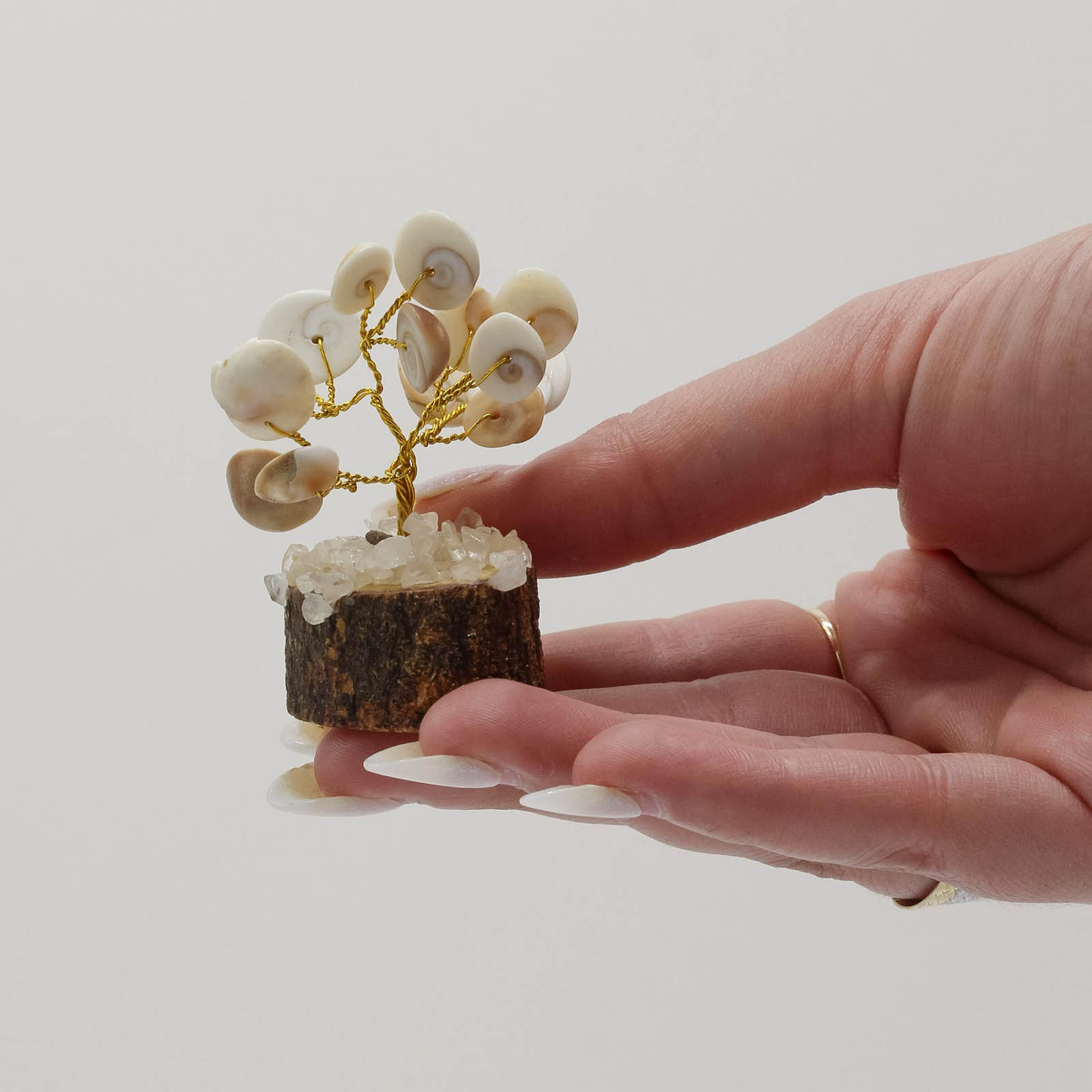 3x Small Gomati Chakra Circle Stone Tree (15 Stones)1