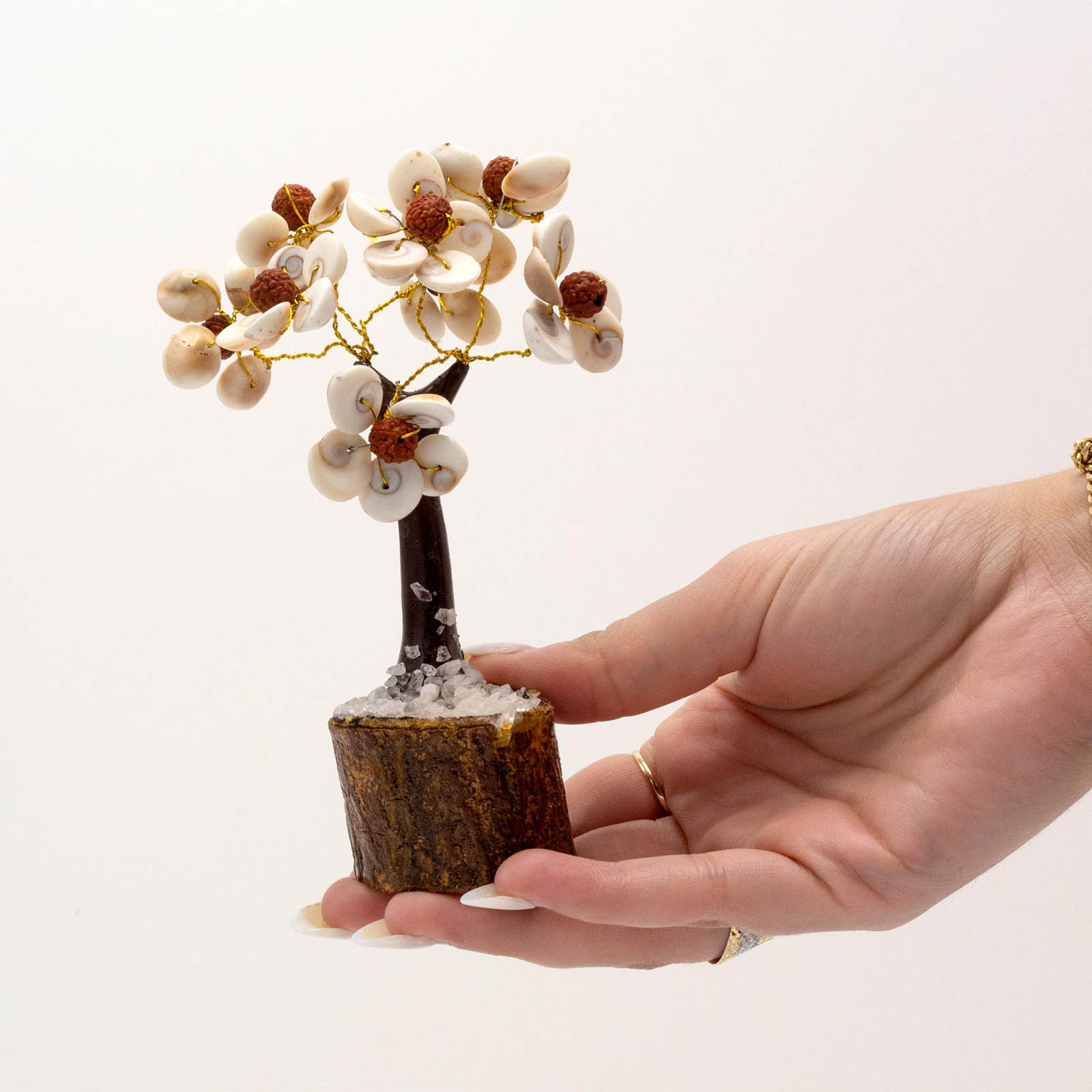 Medium Gomati Chakra Circle Stone Tree with Rudraksha (45 Stones)1