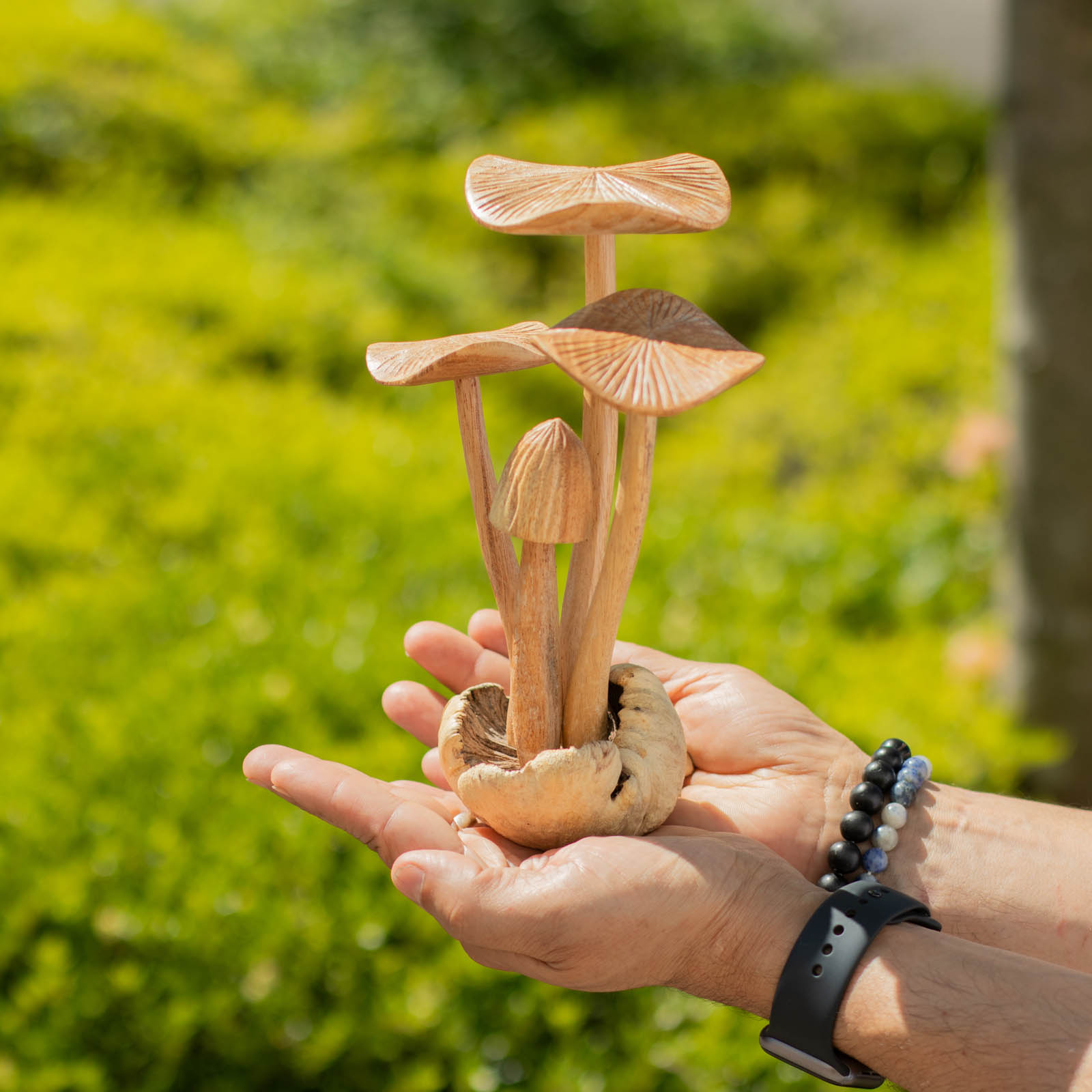 Mushroom Cluster Handmade Parasite Wood Carving4