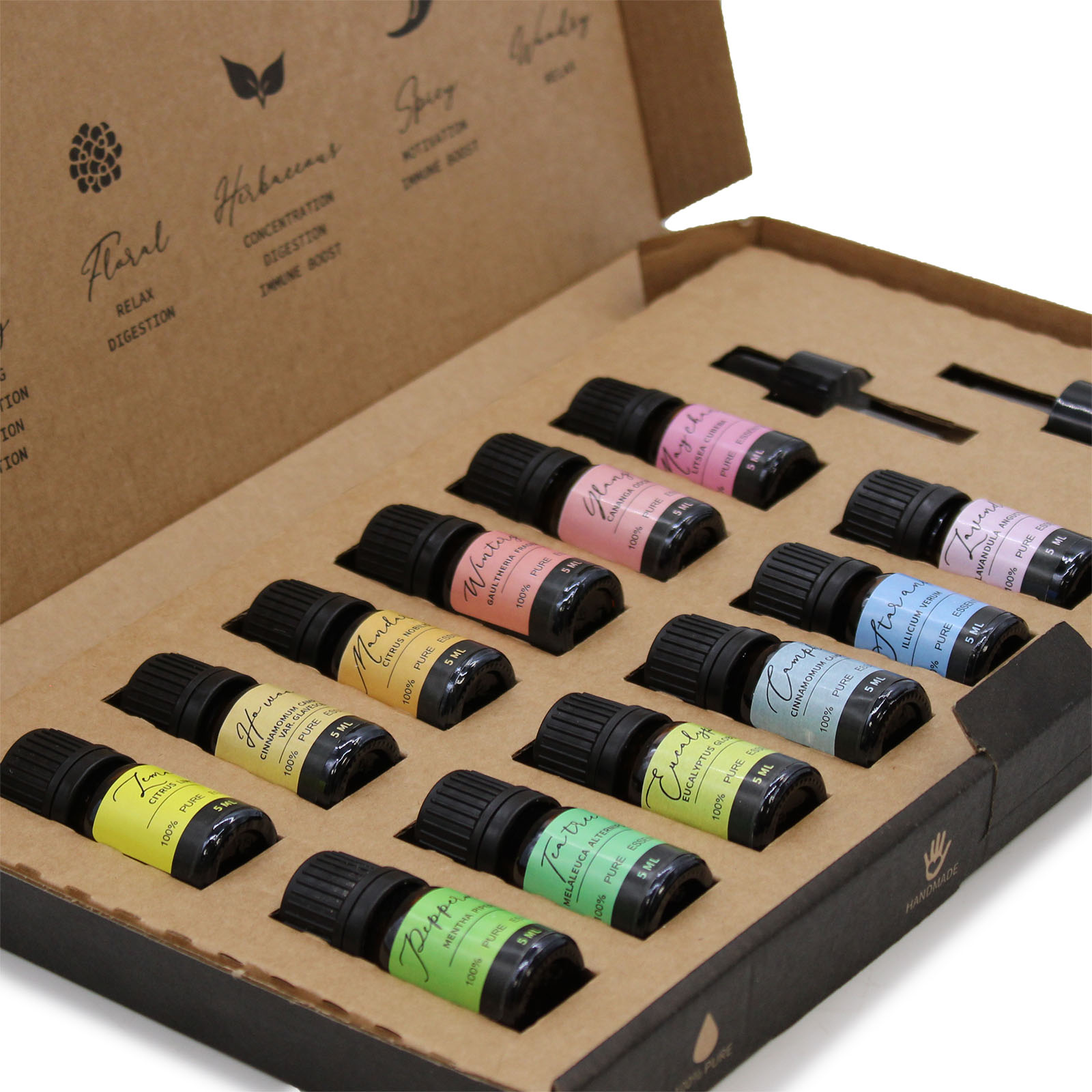Aromatherapy Essential Oil Set - Starter Pack (12 x 5ml)1