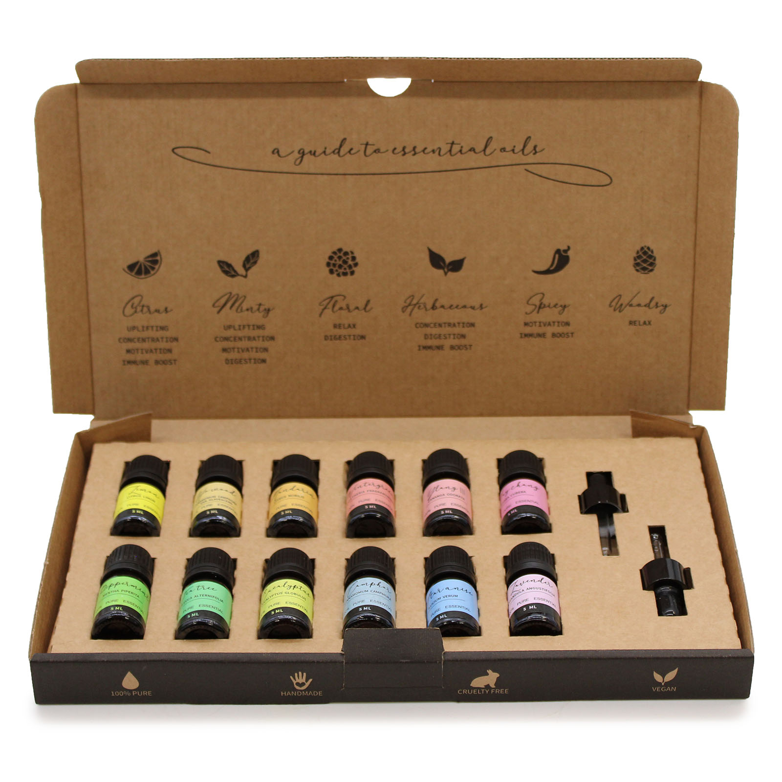 Aromatherapy Essential Oil Set - Starter Pack (12 x 5ml)2