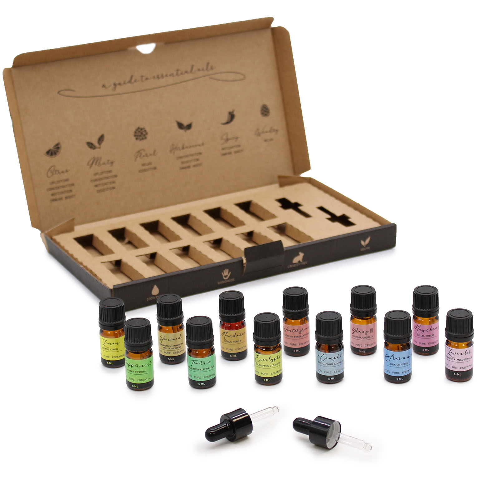 Aromatherapy Essential Oil Set - Starter Pack (12 x 5ml)6