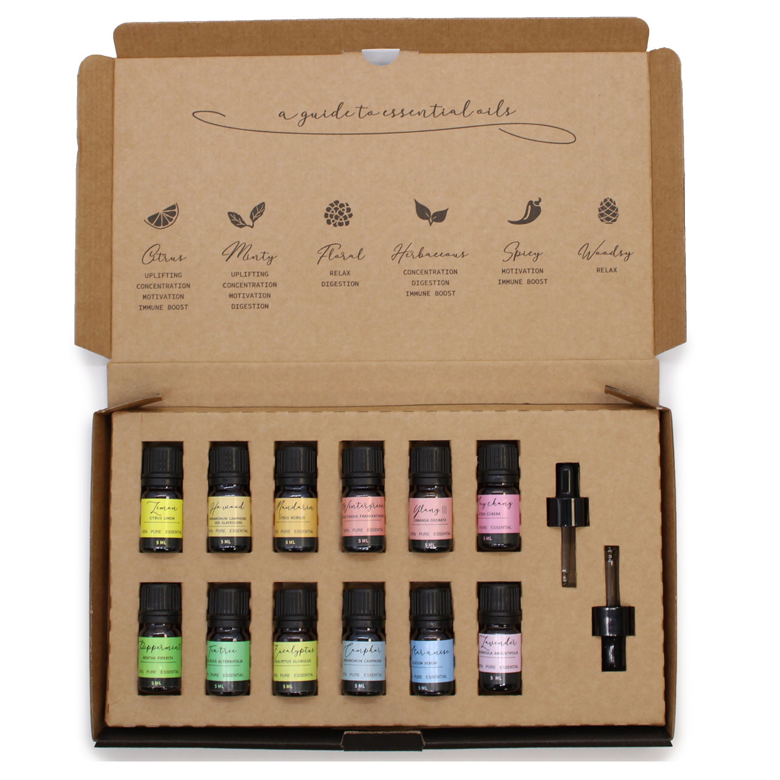 Aromatherapy Essential Oil Set - Starter Pack (12 x 5ml)7