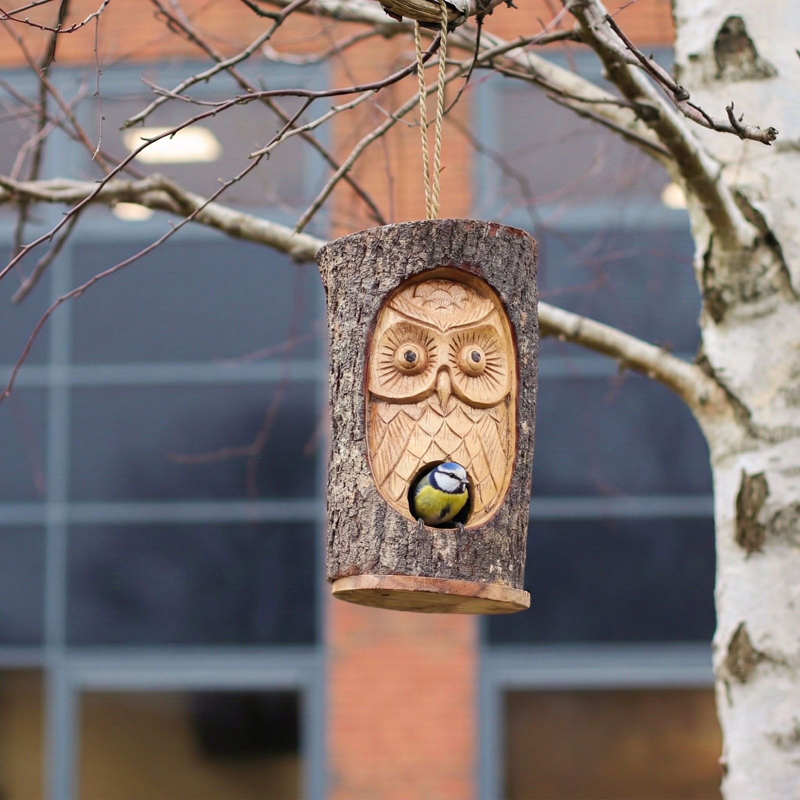 Hand-Carved Wooden Wise Owl Bird House - Natural Tree Trunk Design4