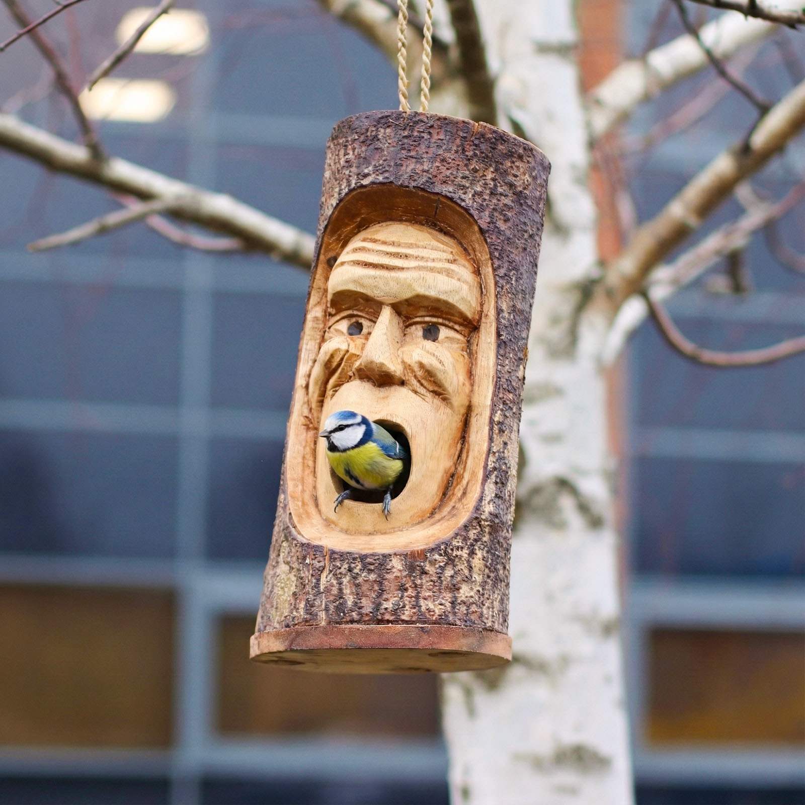 Hand-Carved Grumpy Old Man Bird House - Jempinis Wood Tree Trunk Design4