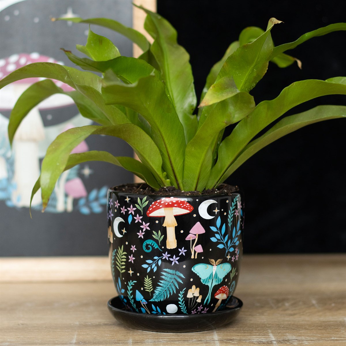 Dark Forest Print Ceramic Plant Pot with Saucer3