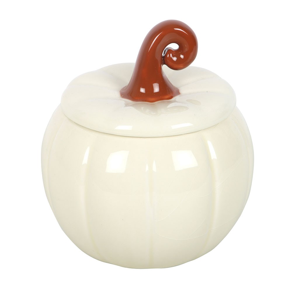 White Curly Stem Pumpkin Oil Burner & Wax Warmer