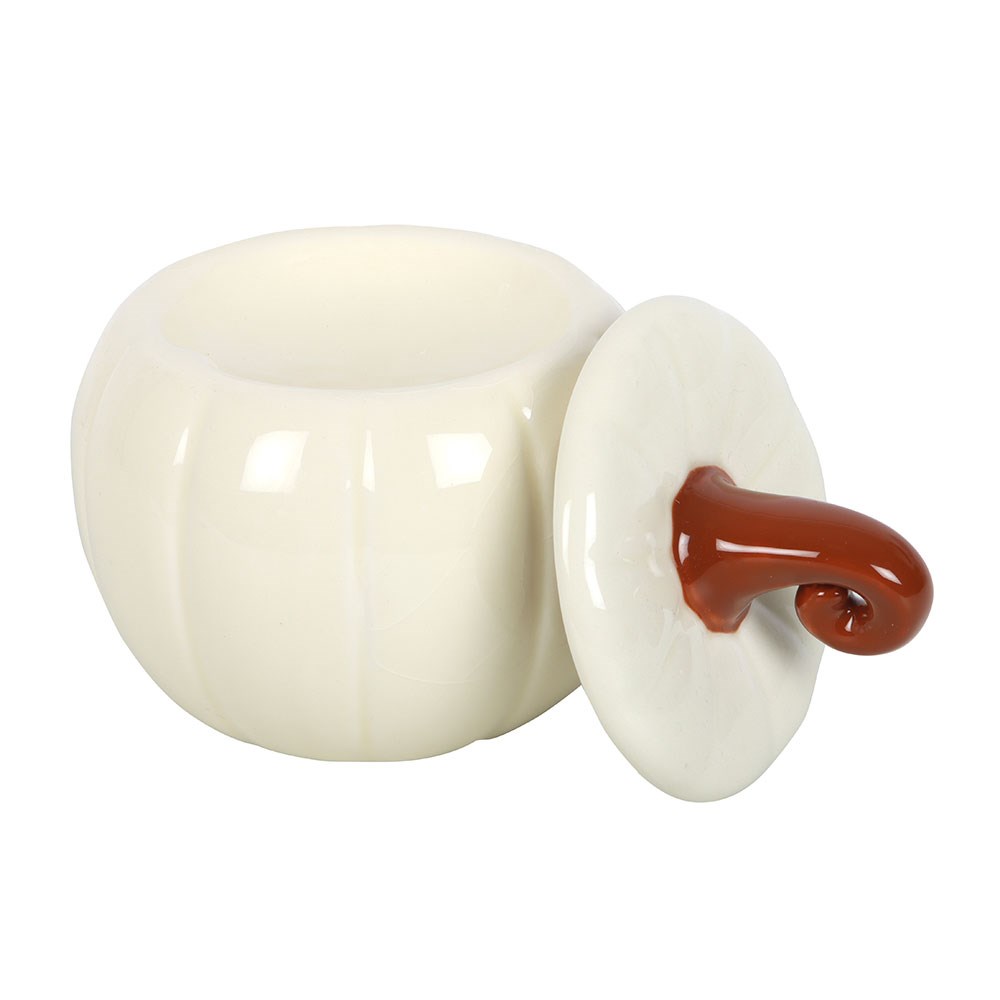 White Curly Stem Pumpkin Oil Burner & Wax Warmer1