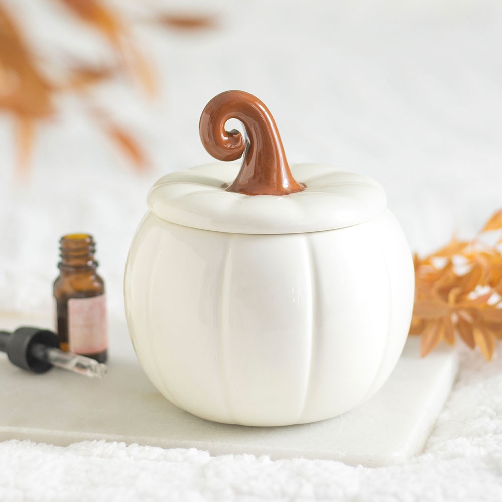 White Curly Stem Pumpkin Oil Burner & Wax Warmer3