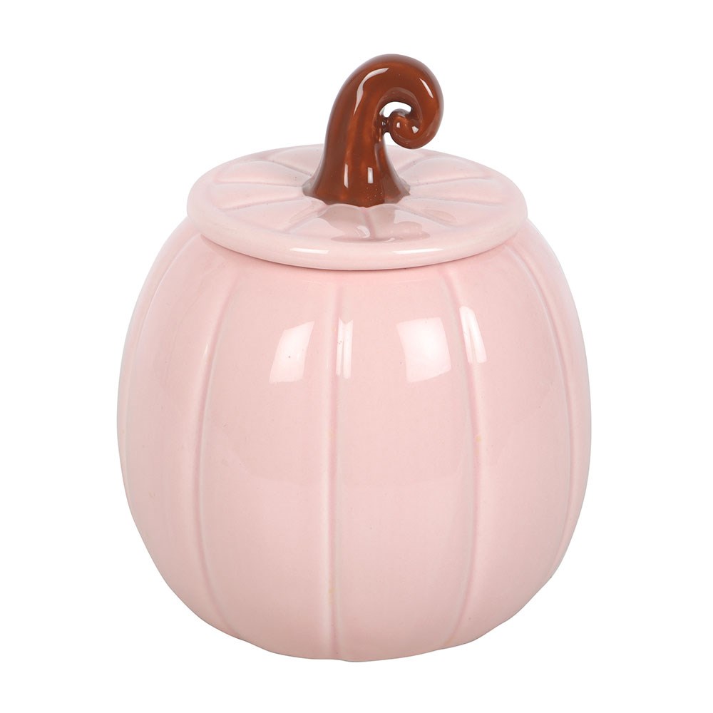 Pink Curly Stem Pumpkin Oil Burner & Wax Warmer1
