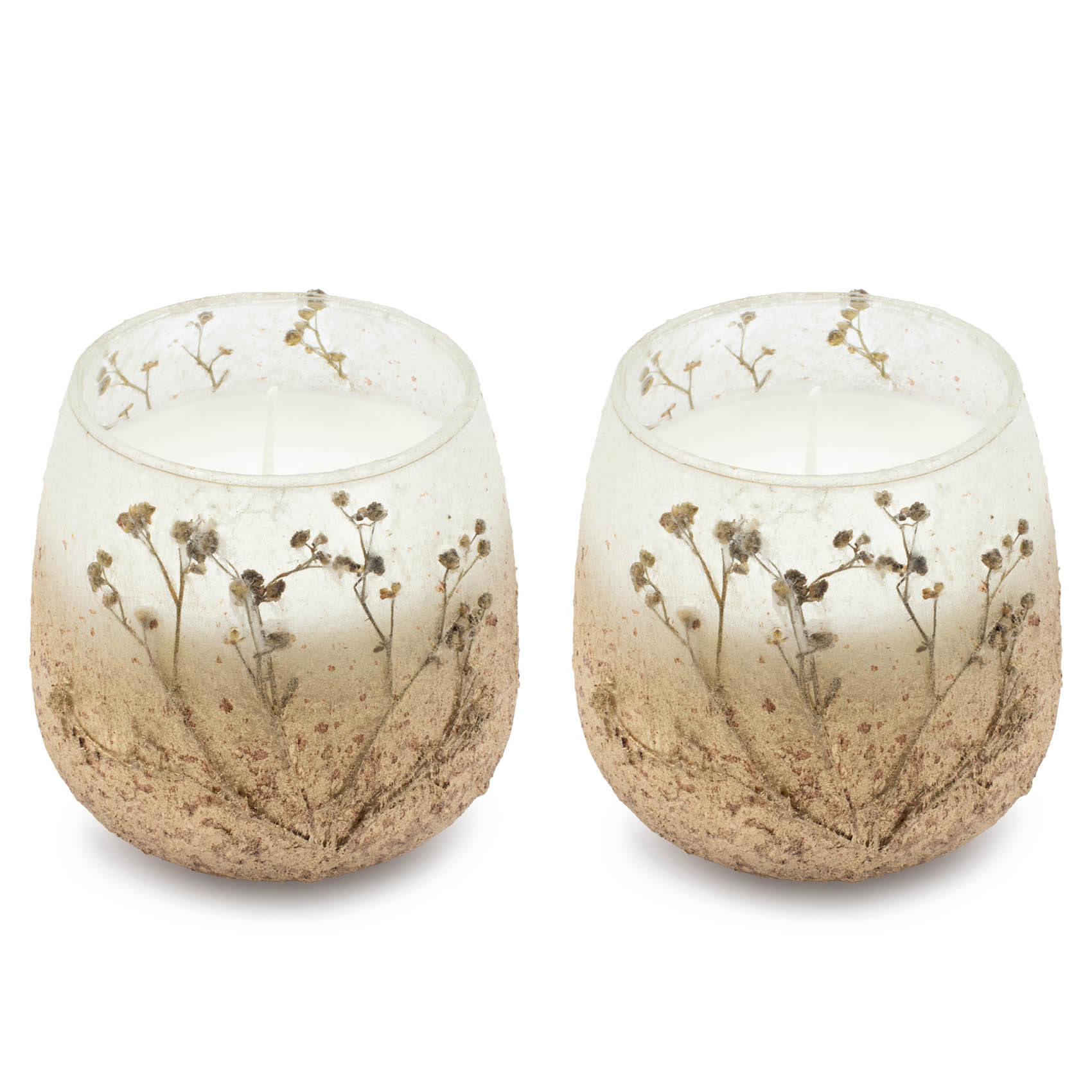 Medium Wildlight Woods Glass Jar Candle3